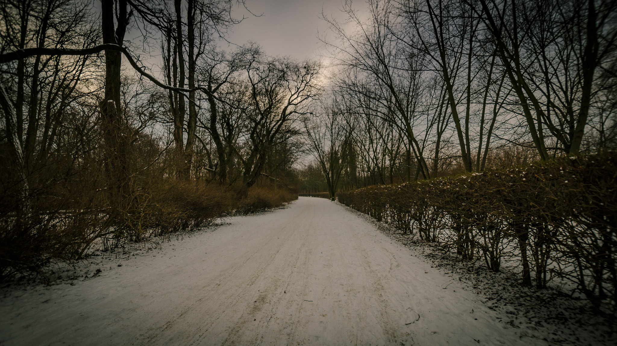 Sony SLT-A58 + Sigma 10-20mm F3.5 EX DC HSM sample photo. Winter paths photography