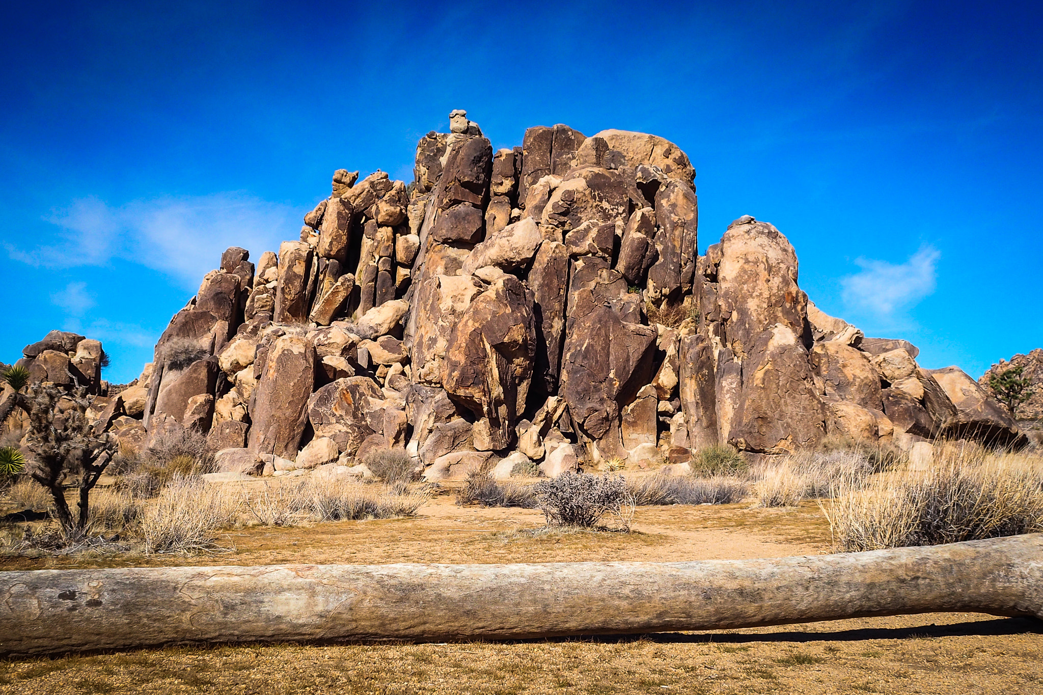 Olympus OM-D E-M10 II + Olympus M.Zuiko Digital 17mm F2.8 Pancake sample photo. Joshua tree national park photography