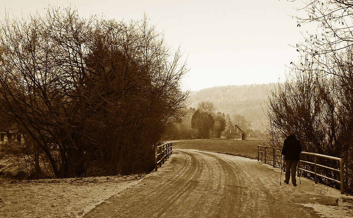 Canon EOS 400D (EOS Digital Rebel XTi / EOS Kiss Digital X) + Canon EF 50mm f/1.8 sample photo. ... winter walks ... photography