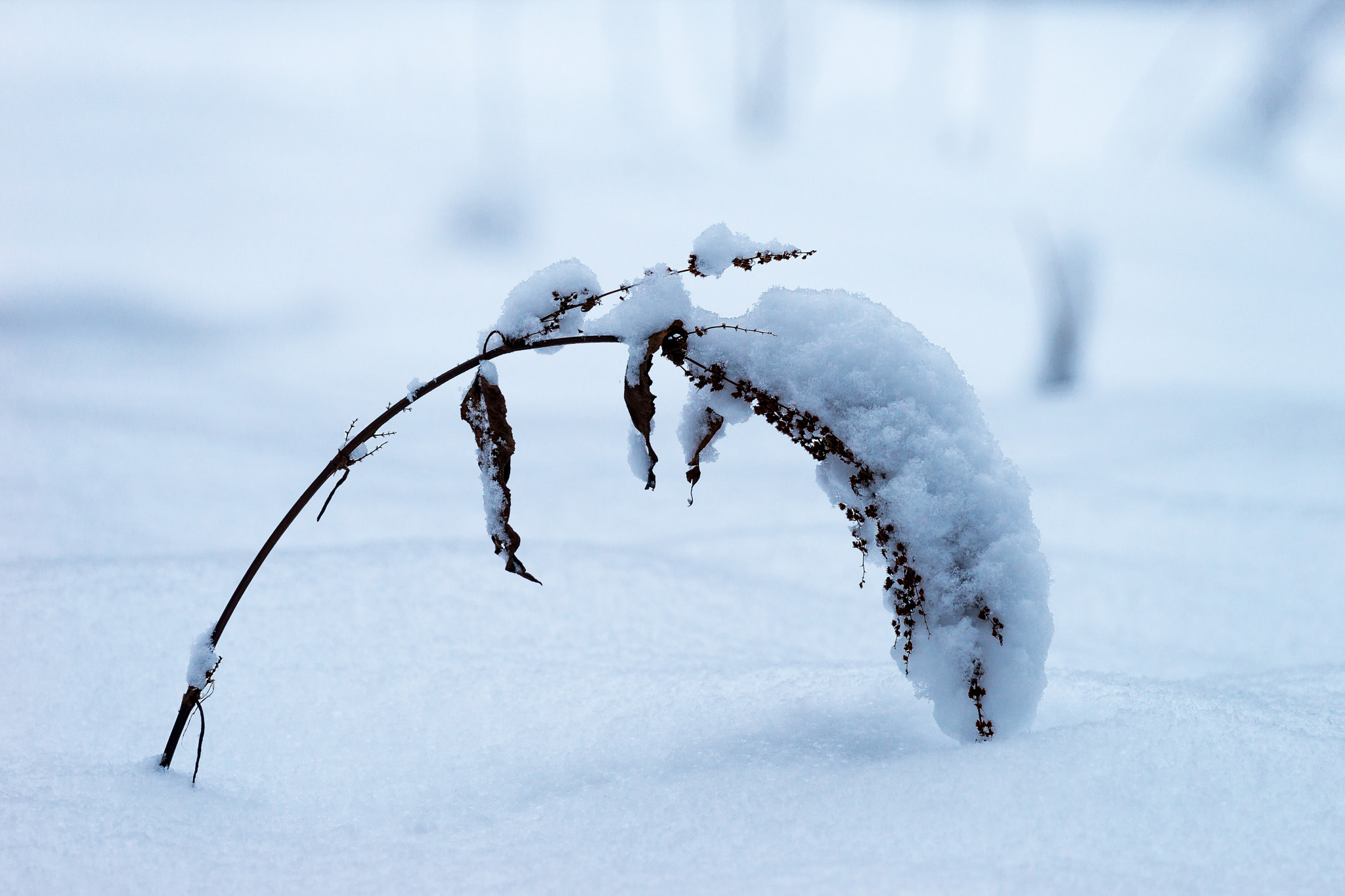 Sony 70-400mm F4-5.6 G SSM II sample photo. Heavy load photography