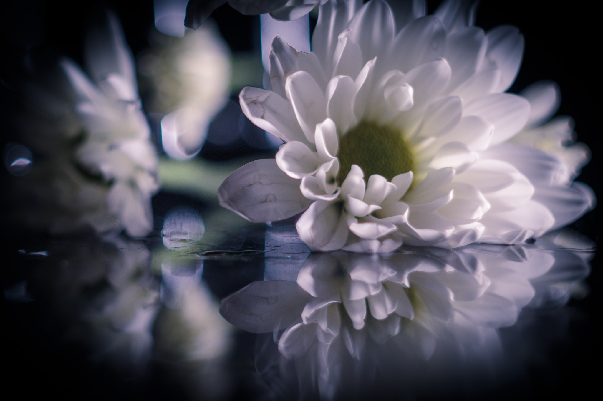Canon EF 35-80mm f/4-5.6 sample photo. Imperfect beauty photography