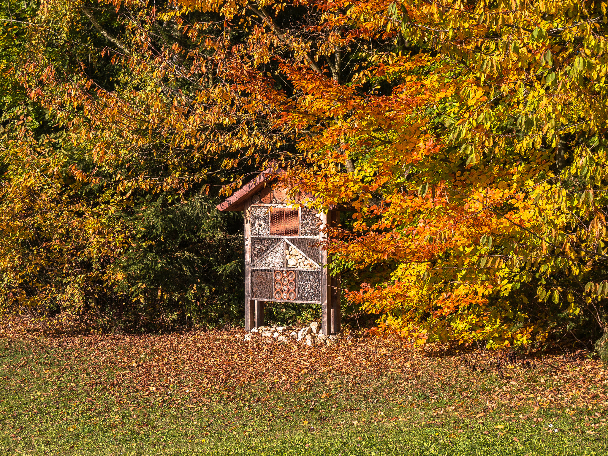 Panasonic Lumix DMC-G5 sample photo. Waldpark im herbst photography