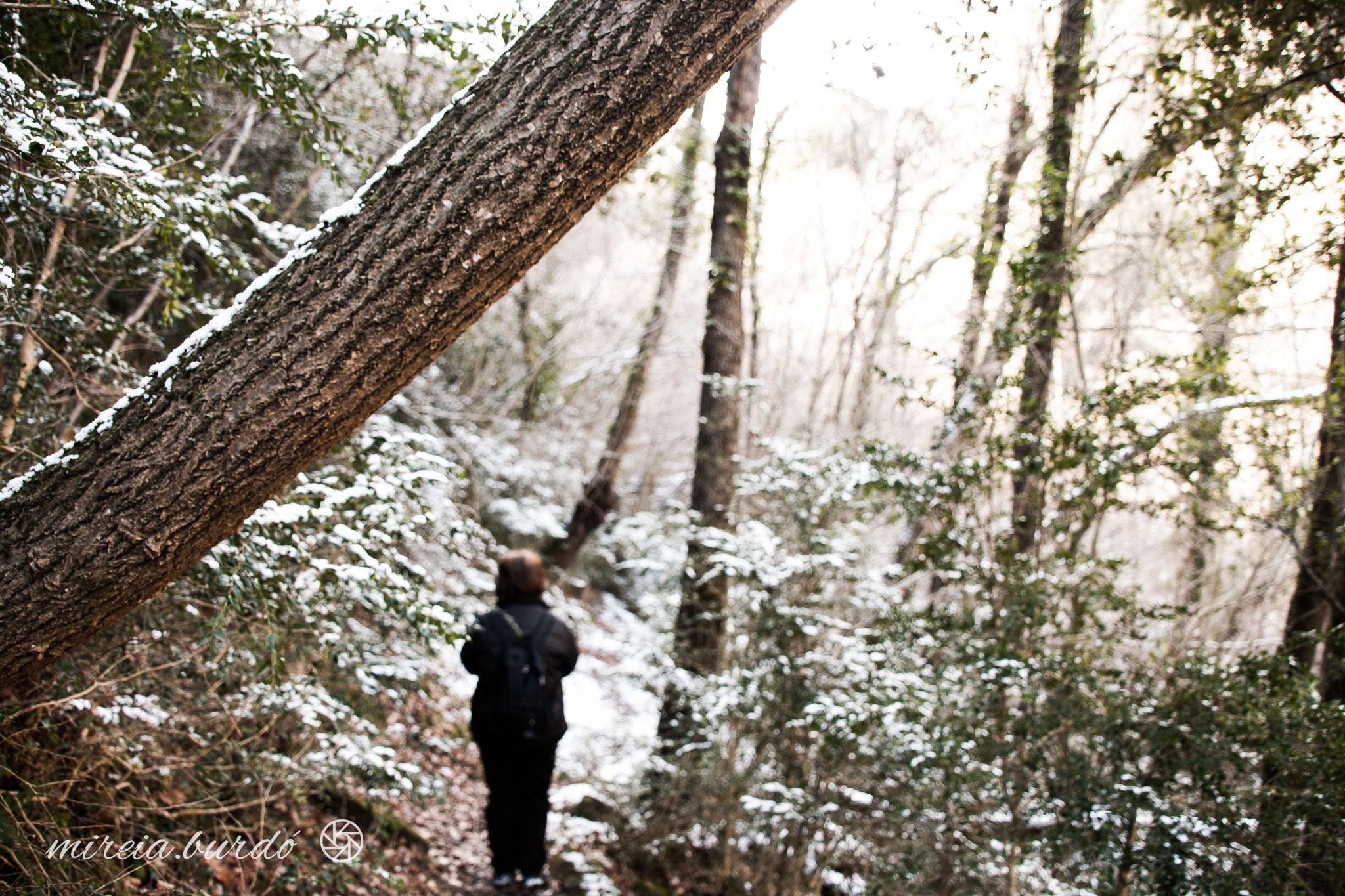Canon EOS 1000D (EOS Digital Rebel XS / EOS Kiss F) sample photo. Walking through the snow photography