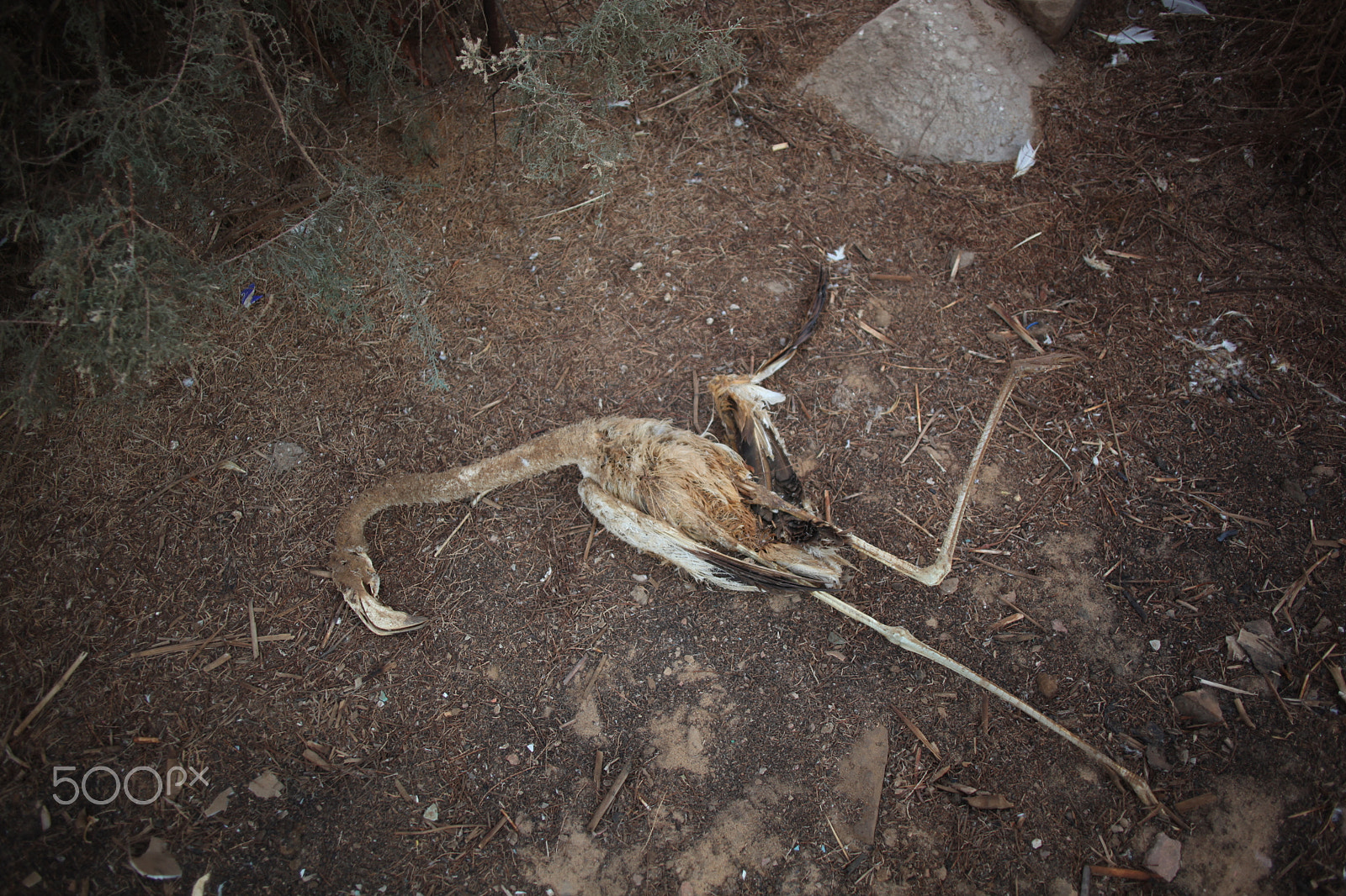 Canon EF 24mm F2.8 sample photo. :( photography