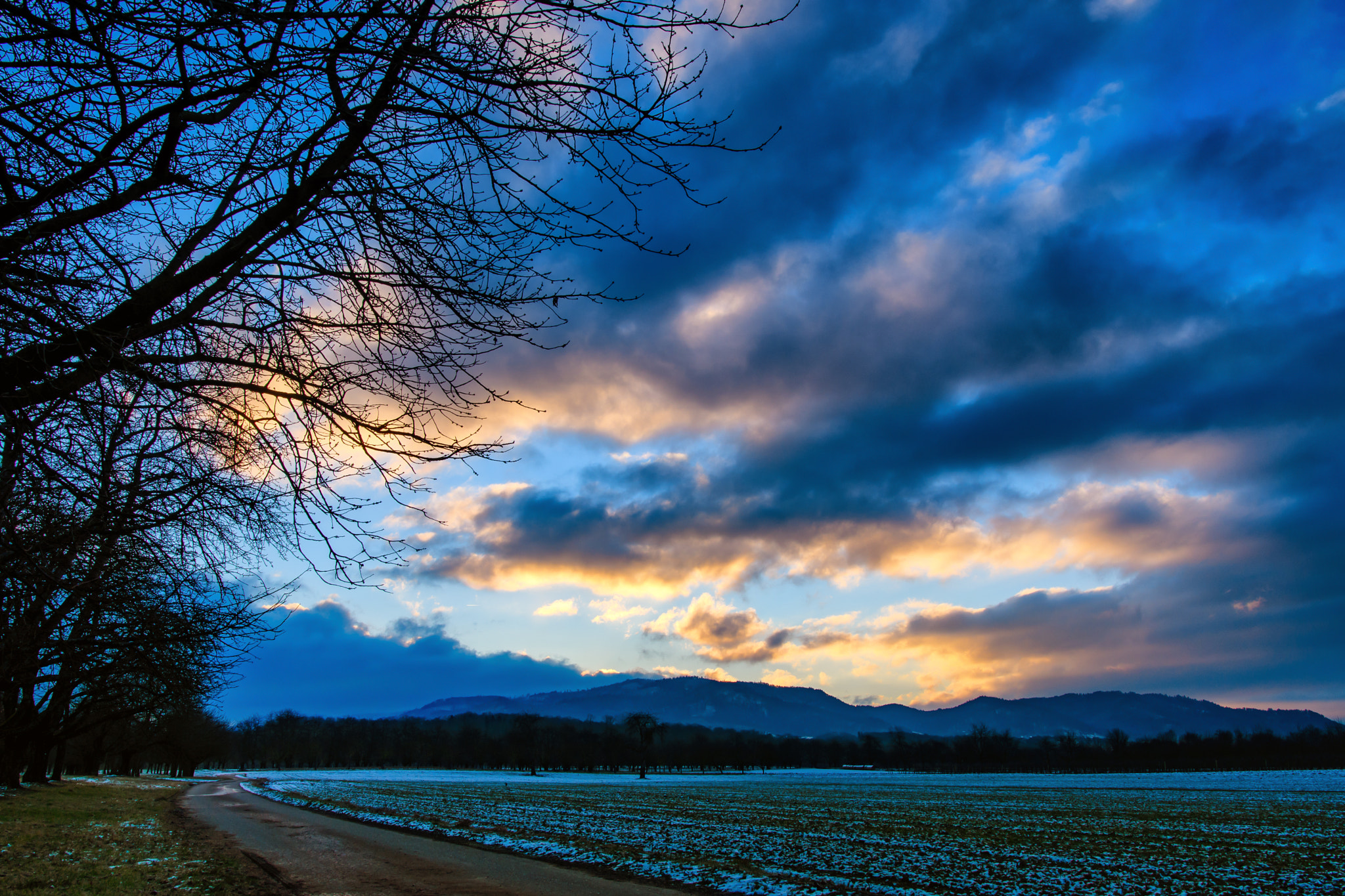 Nikon D500 sample photo. Auf dem weg zur arbeit photography