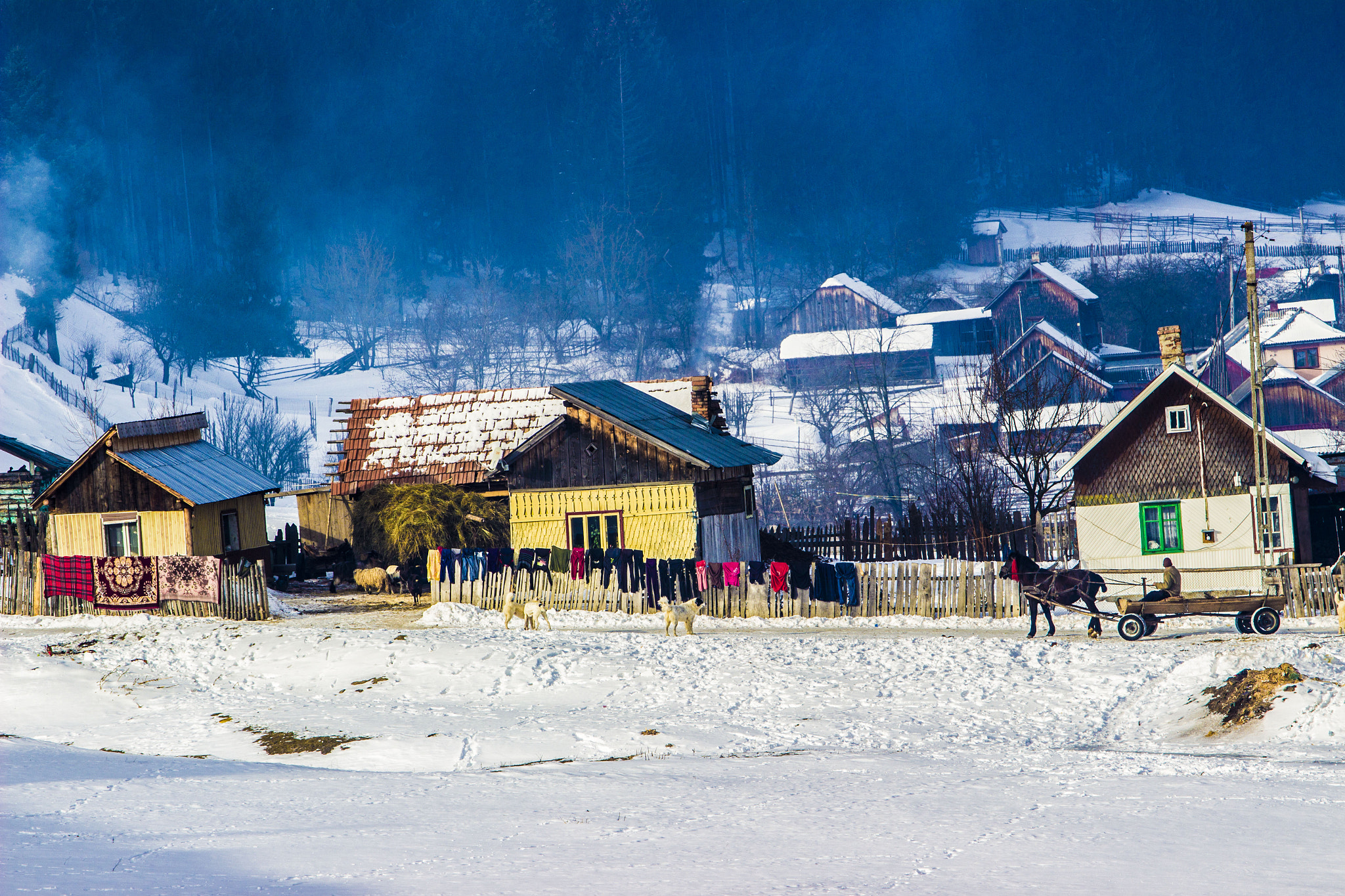 Canon EOS 600D (Rebel EOS T3i / EOS Kiss X5) sample photo. People of romania photography