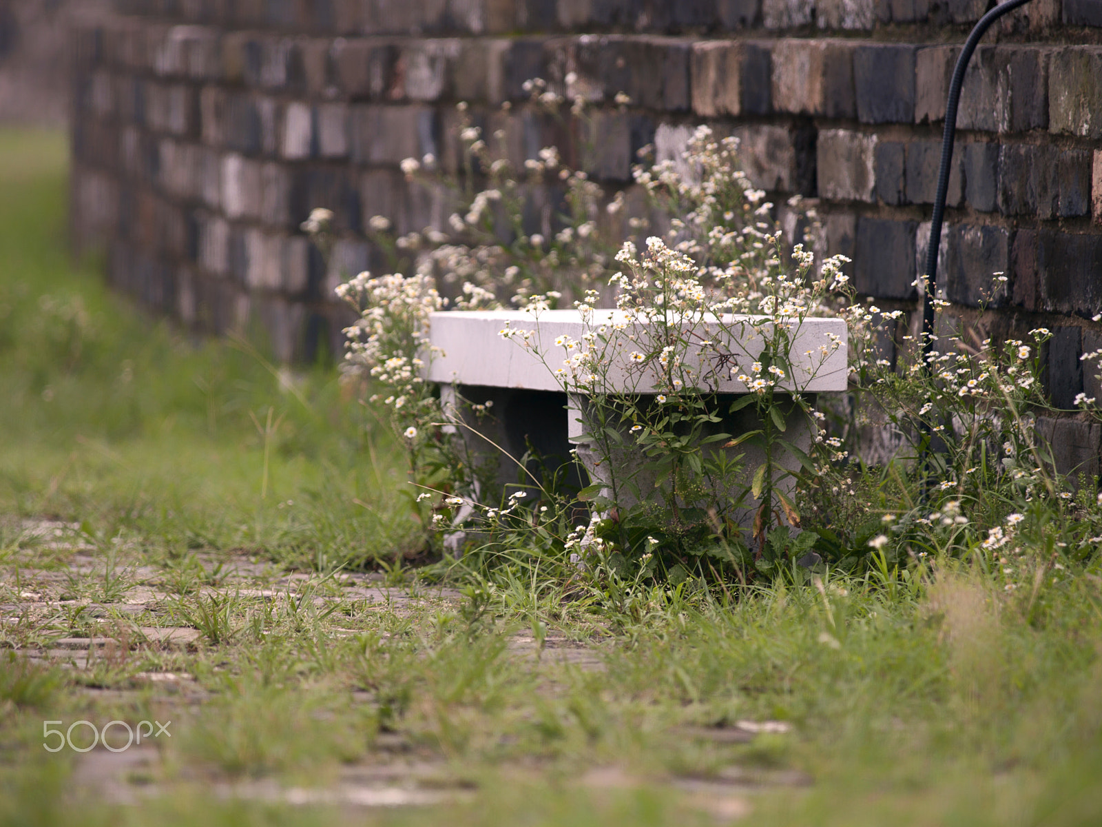 Olympus E-400 (EVOLT E-400) sample photo. Stone bench photography