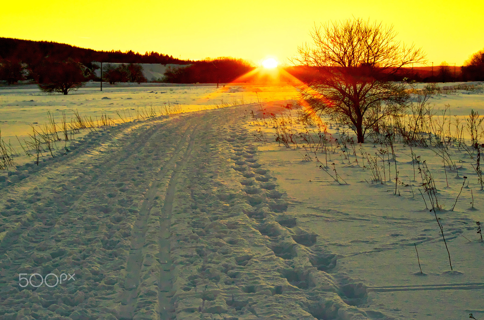 Pentax K-30 sample photo. Winter way photography