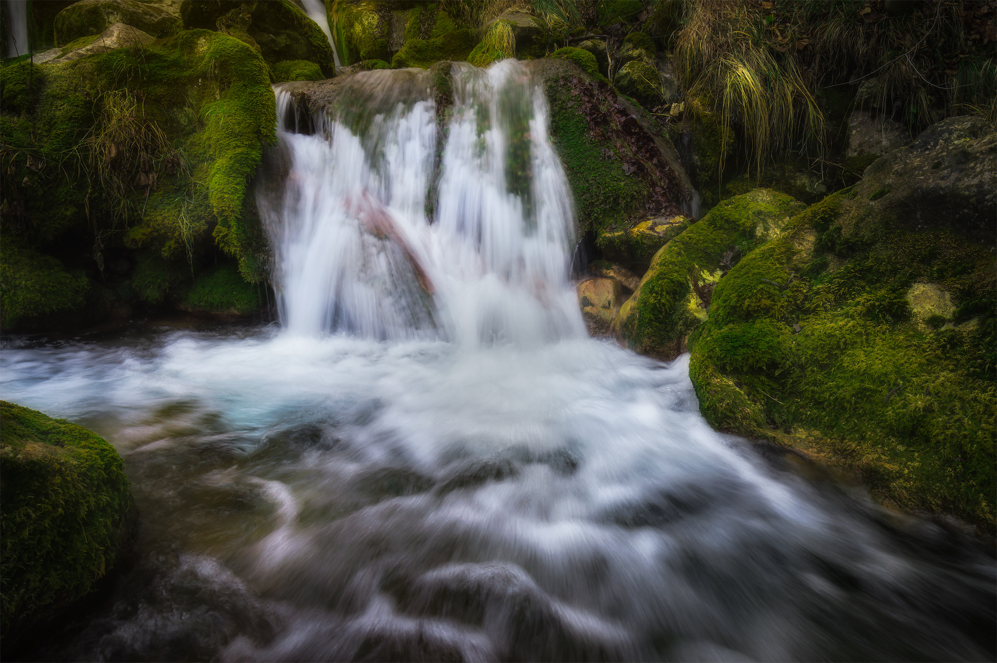 Samyang 14mm F2.8 ED AS IF UMC sample photo. Green fall photography