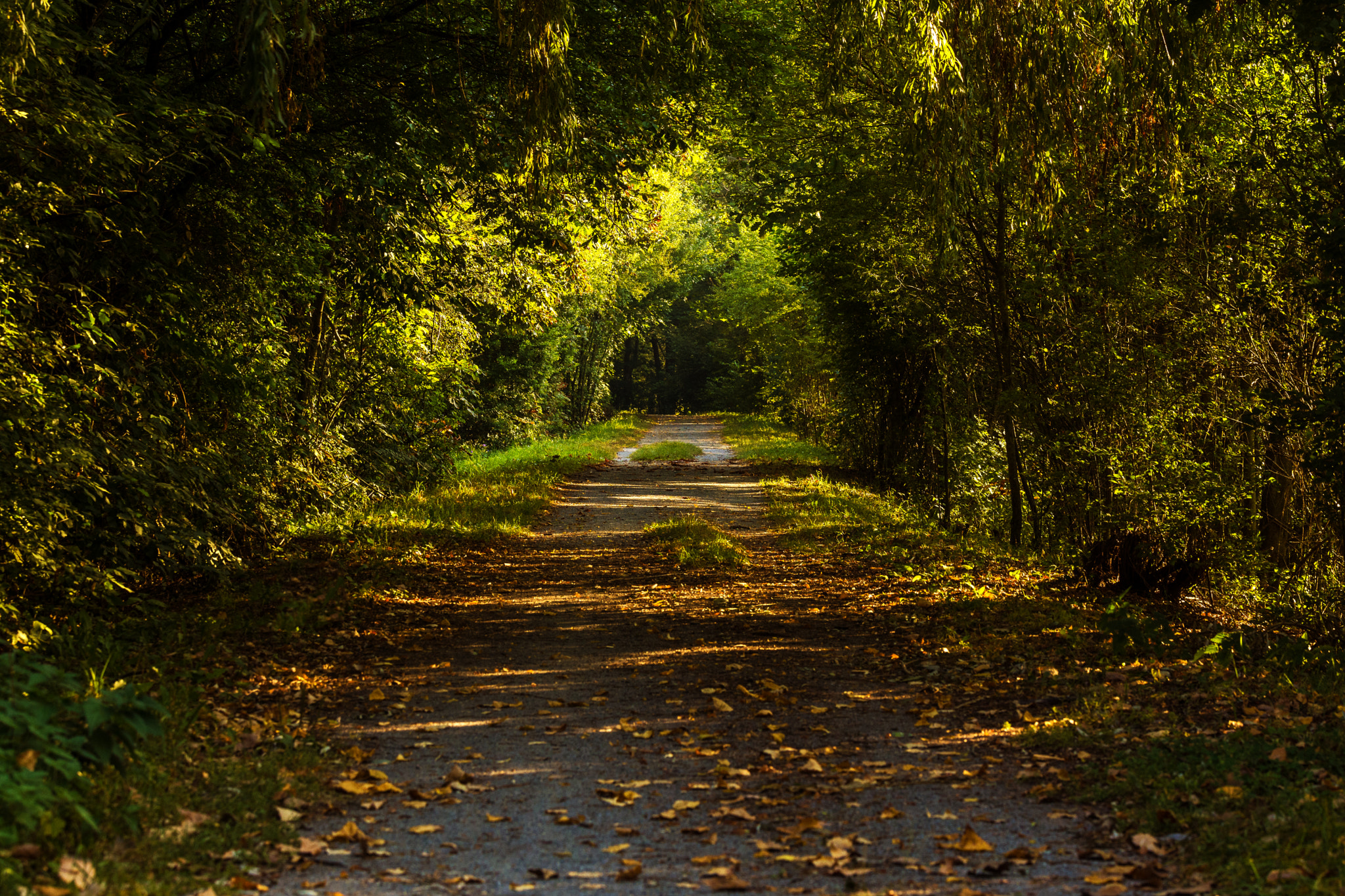 Nikon D7200 sample photo. Tunnel photography