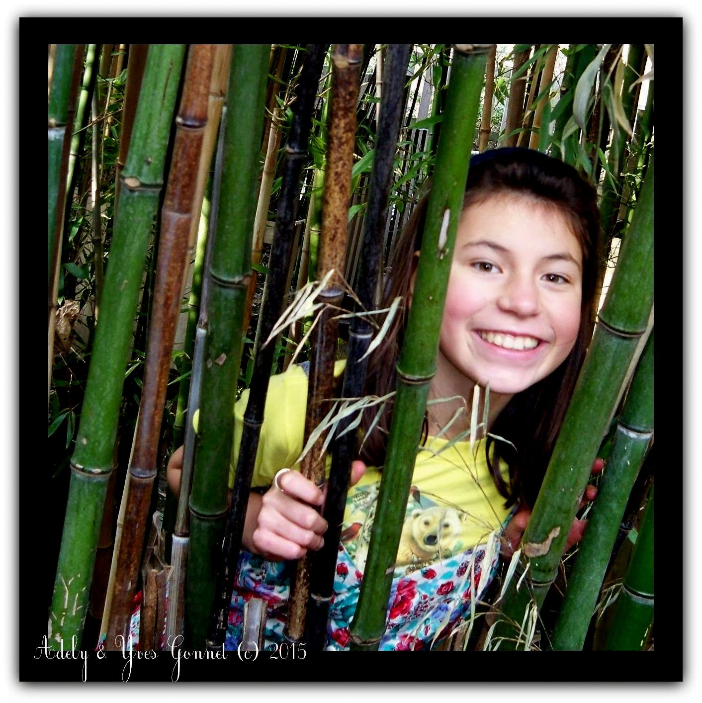 Kodak EASYSHARE V1273 DIGITAL CAMERA sample photo. () cvp lot photography