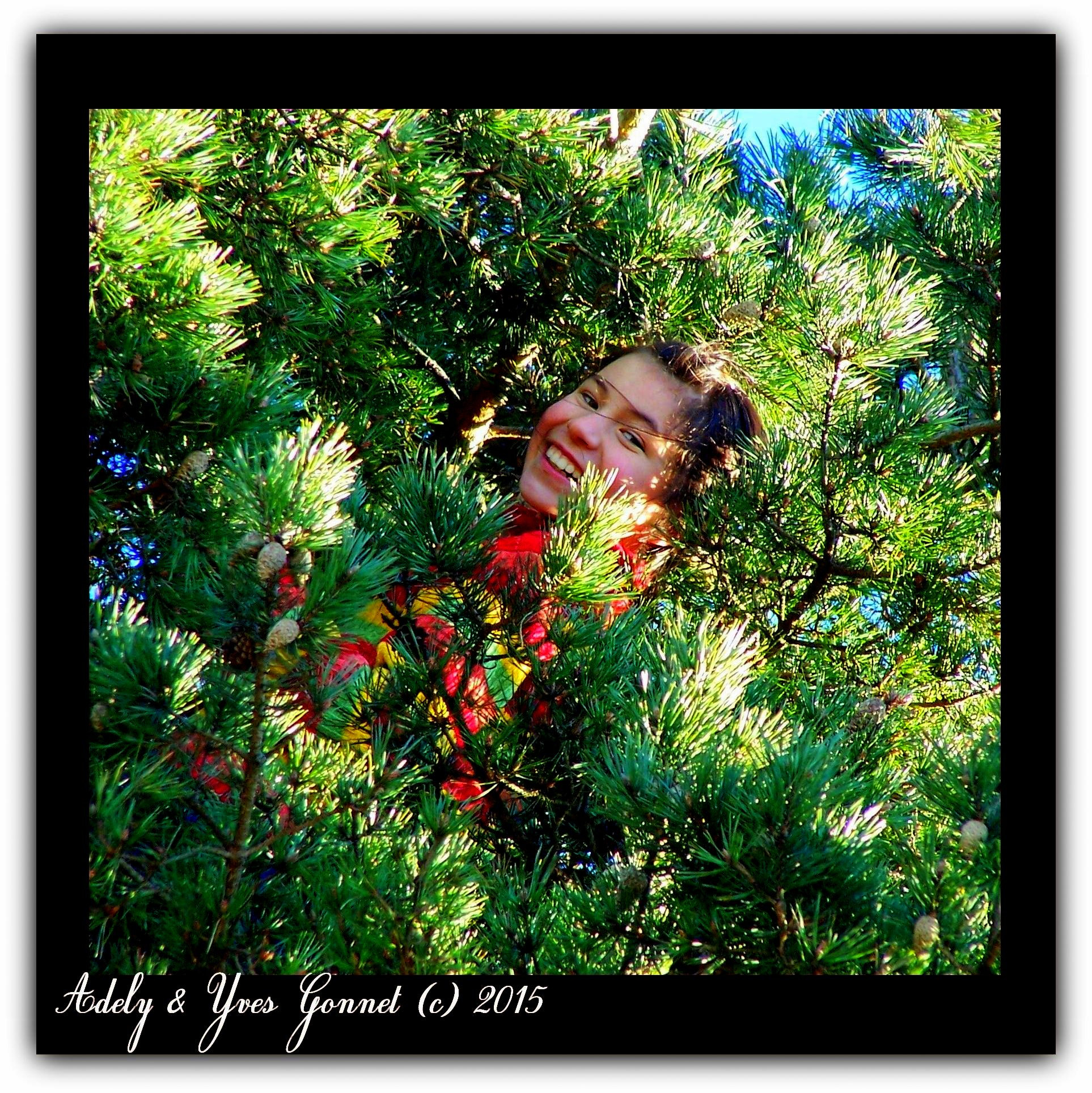Kodak Z740 ZOOM DIGITAL CAMERA sample photo. () cvp lot photography