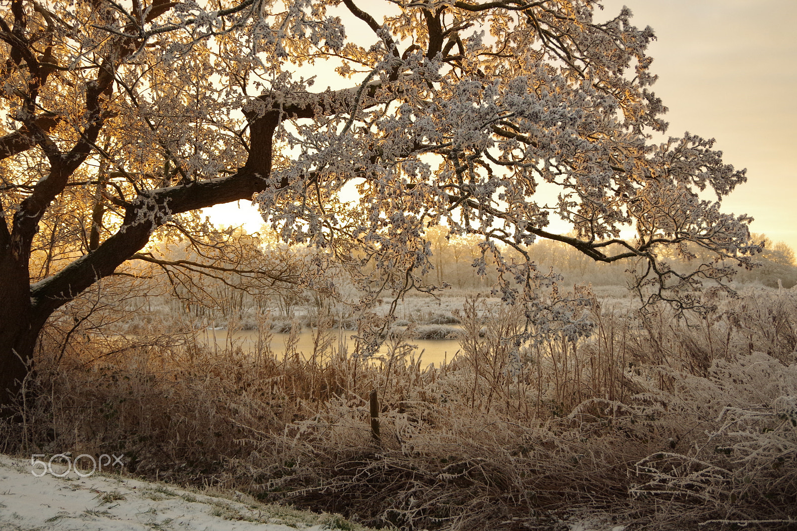 Pentax K-50 sample photo. Golden sunrise photography