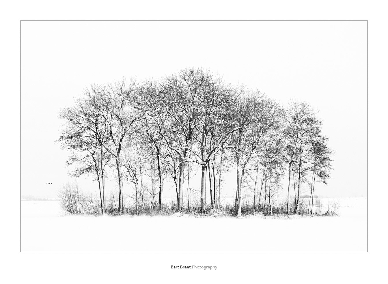 Canon EOS-1D Mark III sample photo. Winter photography
