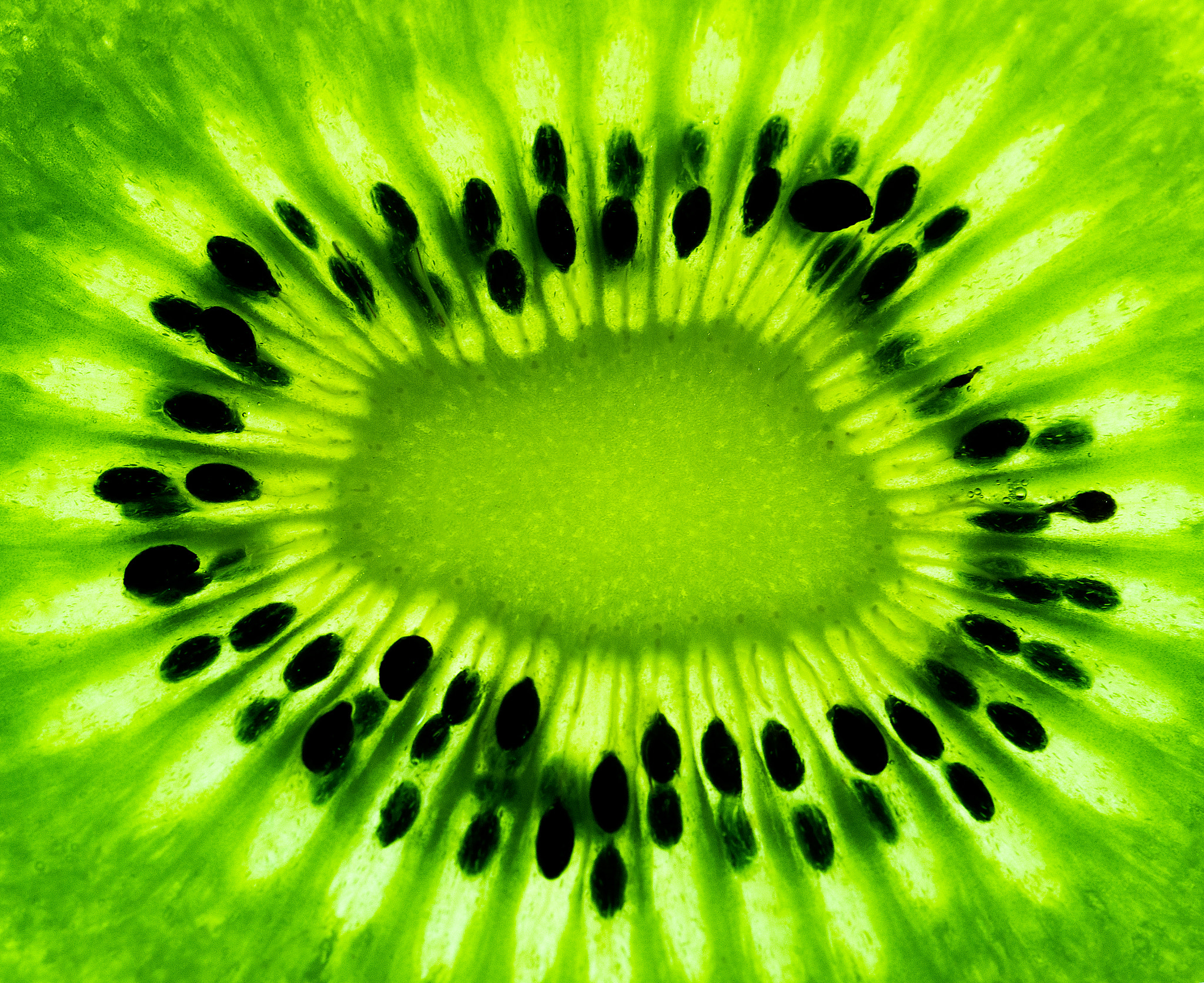 Nikon D800 + Nikon AF Micro-Nikkor 60mm F2.8D sample photo. Like inside a kiwi photography