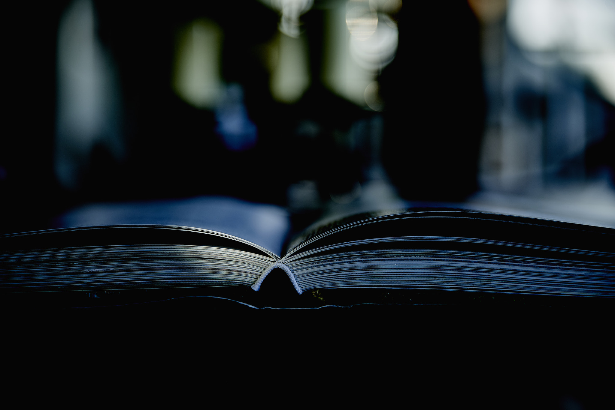 Nikon D800 sample photo. Learning to read photography