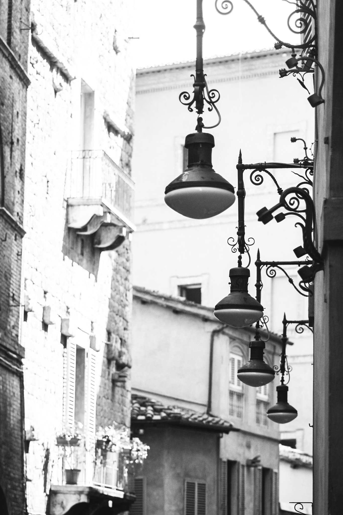 Canon EOS 550D (EOS Rebel T2i / EOS Kiss X4) sample photo. • los días en siena • photography