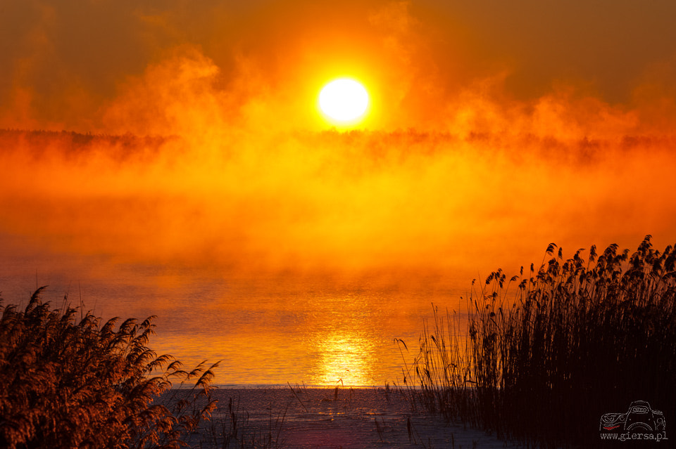 Nikon D700 sample photo. Winter sunrise... photography