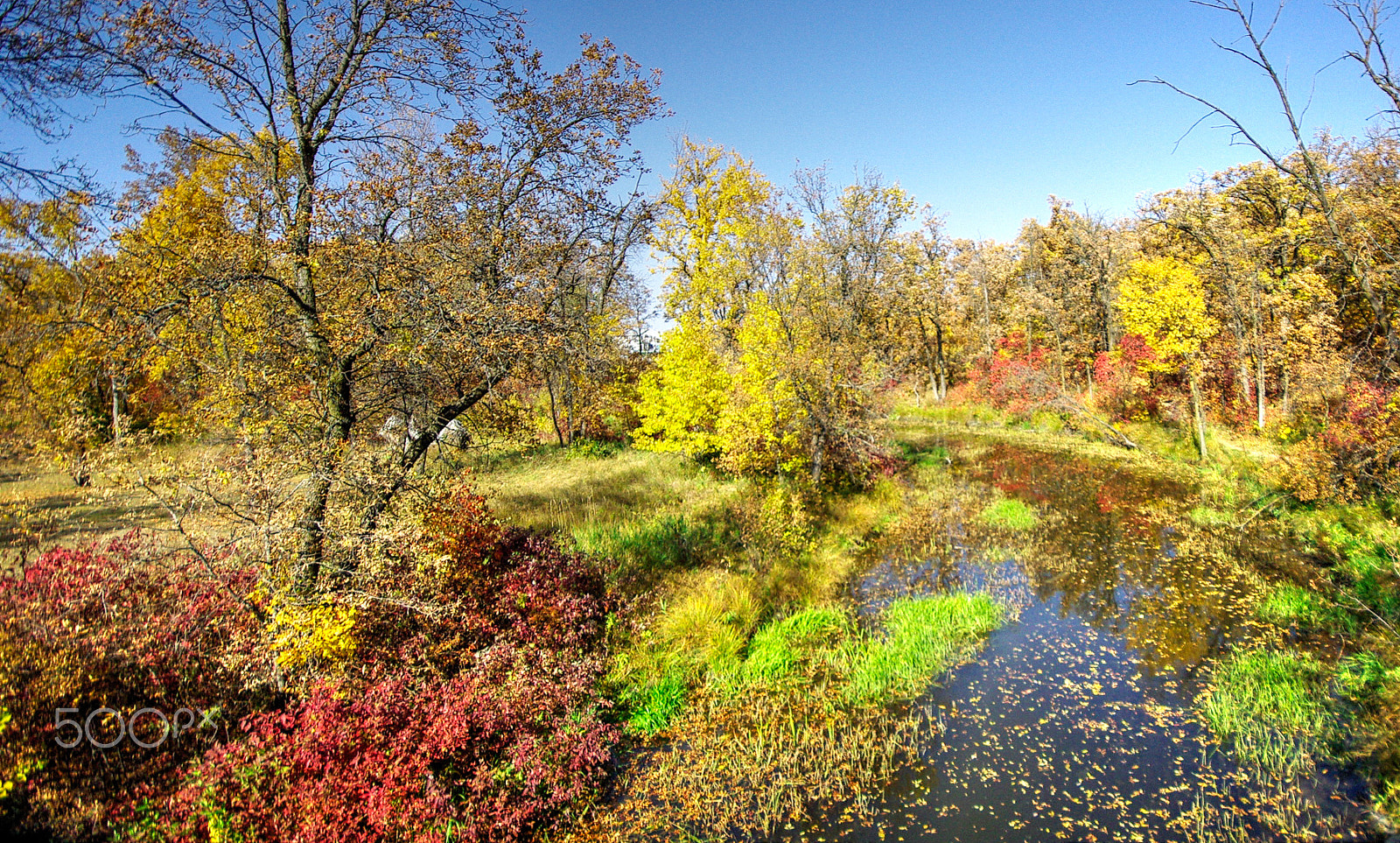 Pentax K200D sample photo. Fall memories photography