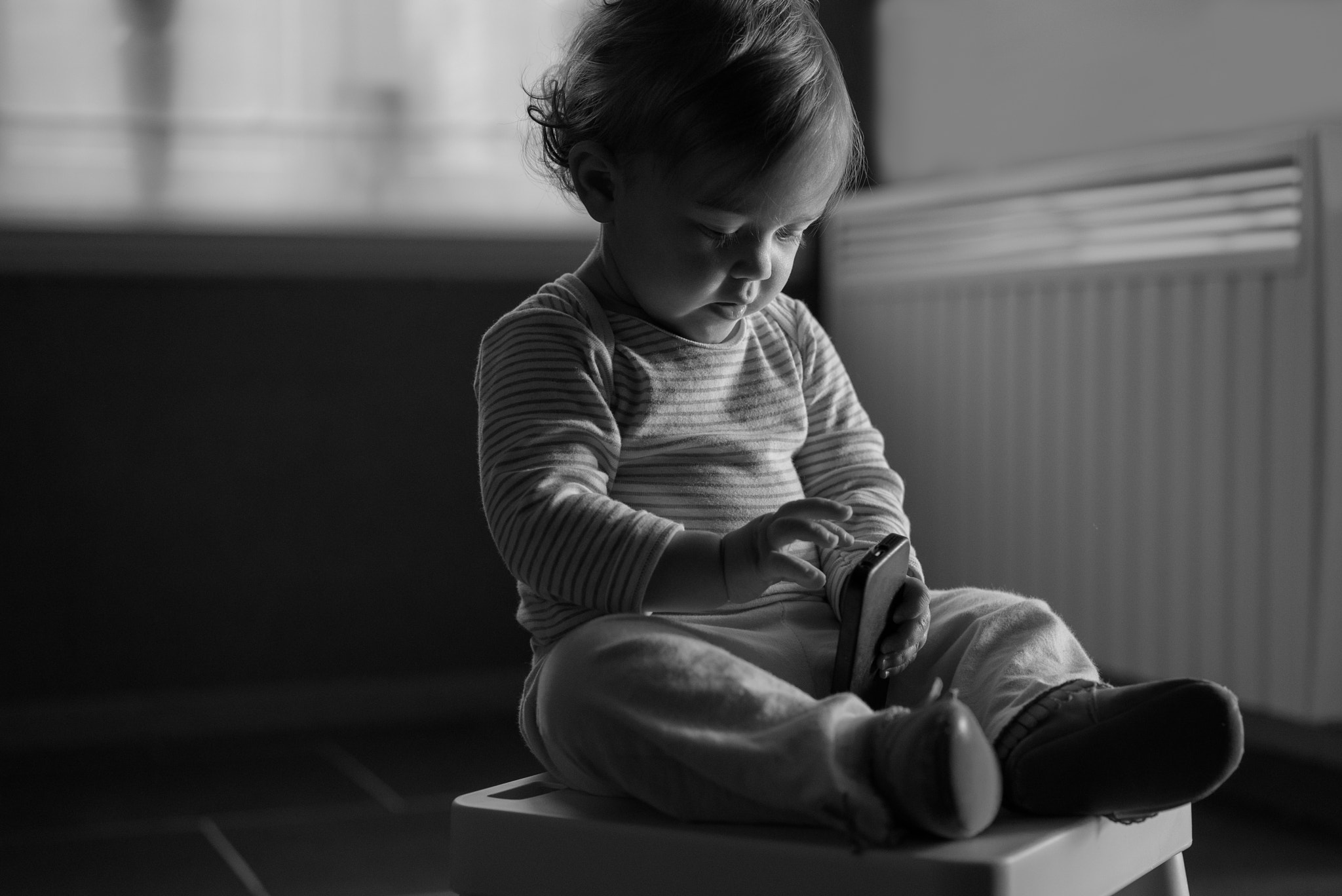Sony a7S + Sony Sonnar T* FE 55mm F1.8 ZA sample photo