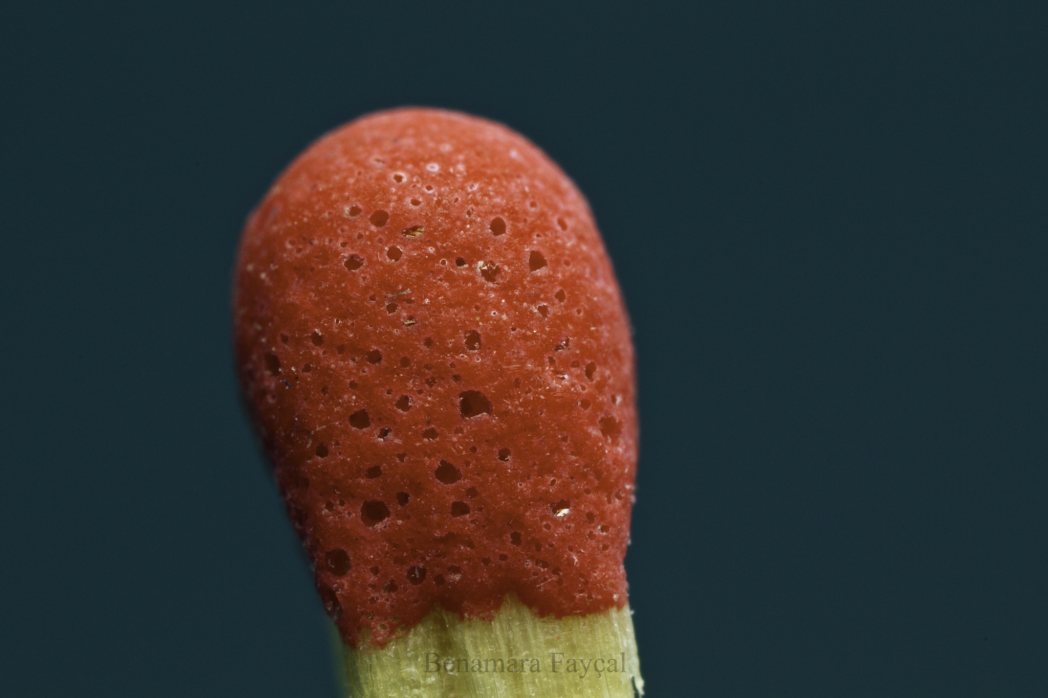 Canon MP-E 65mm F2.5 1-5x Macro Photo sample photo. Red matches photography
