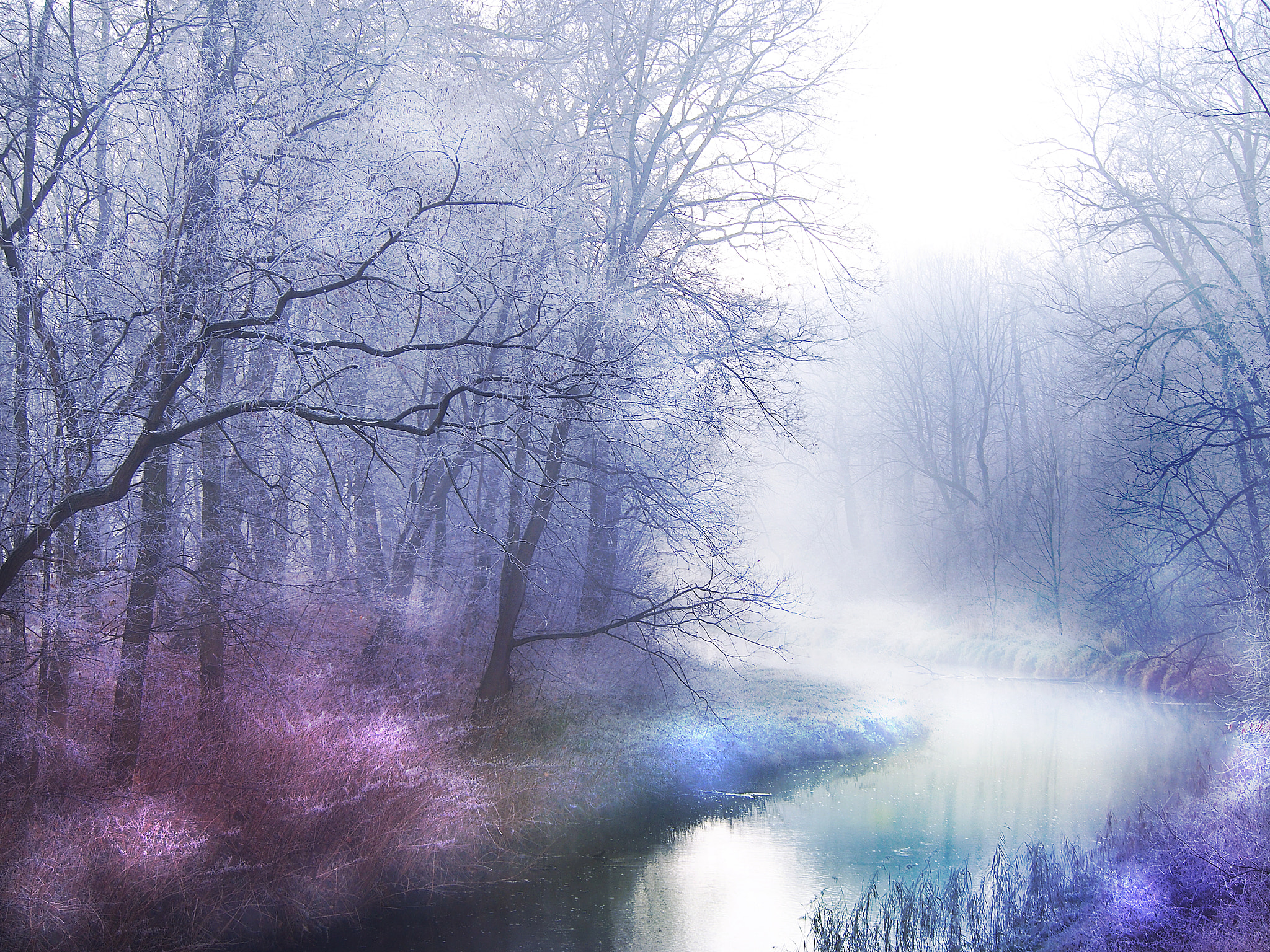 Olympus PEN E-PL5 sample photo. On the banks of the river photography