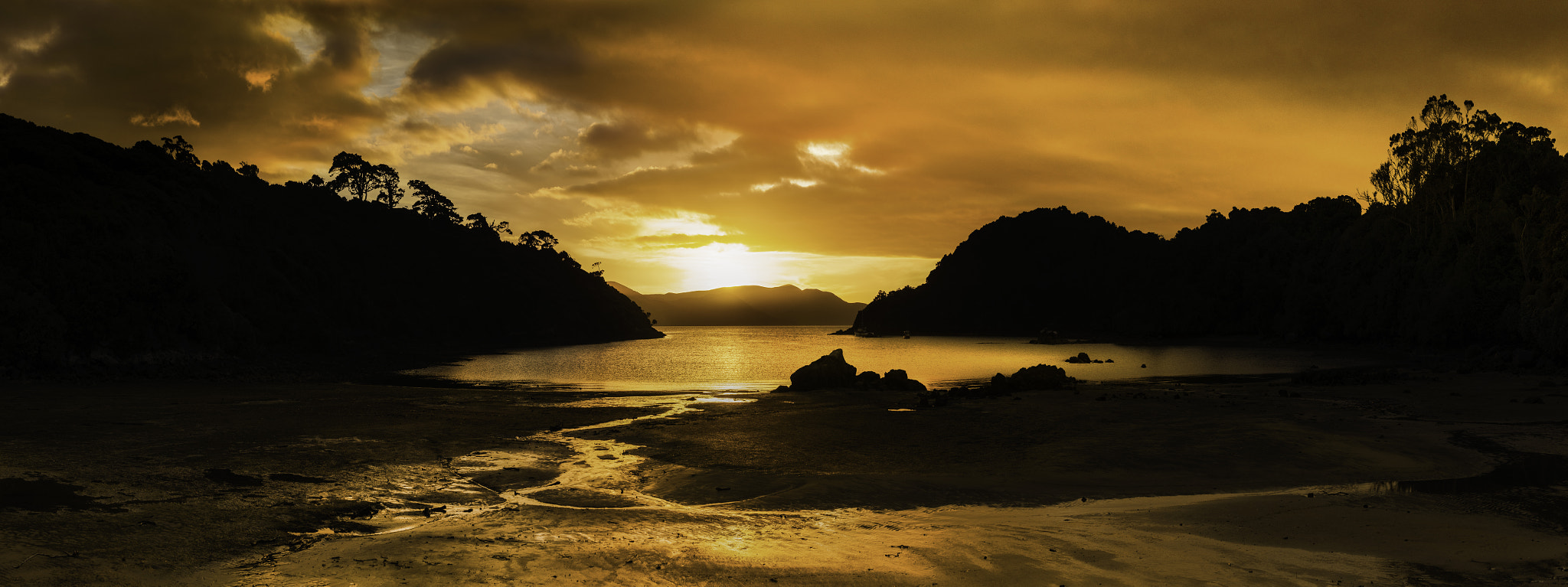 Sony a99 II sample photo. A golden shroud for stewart island photography