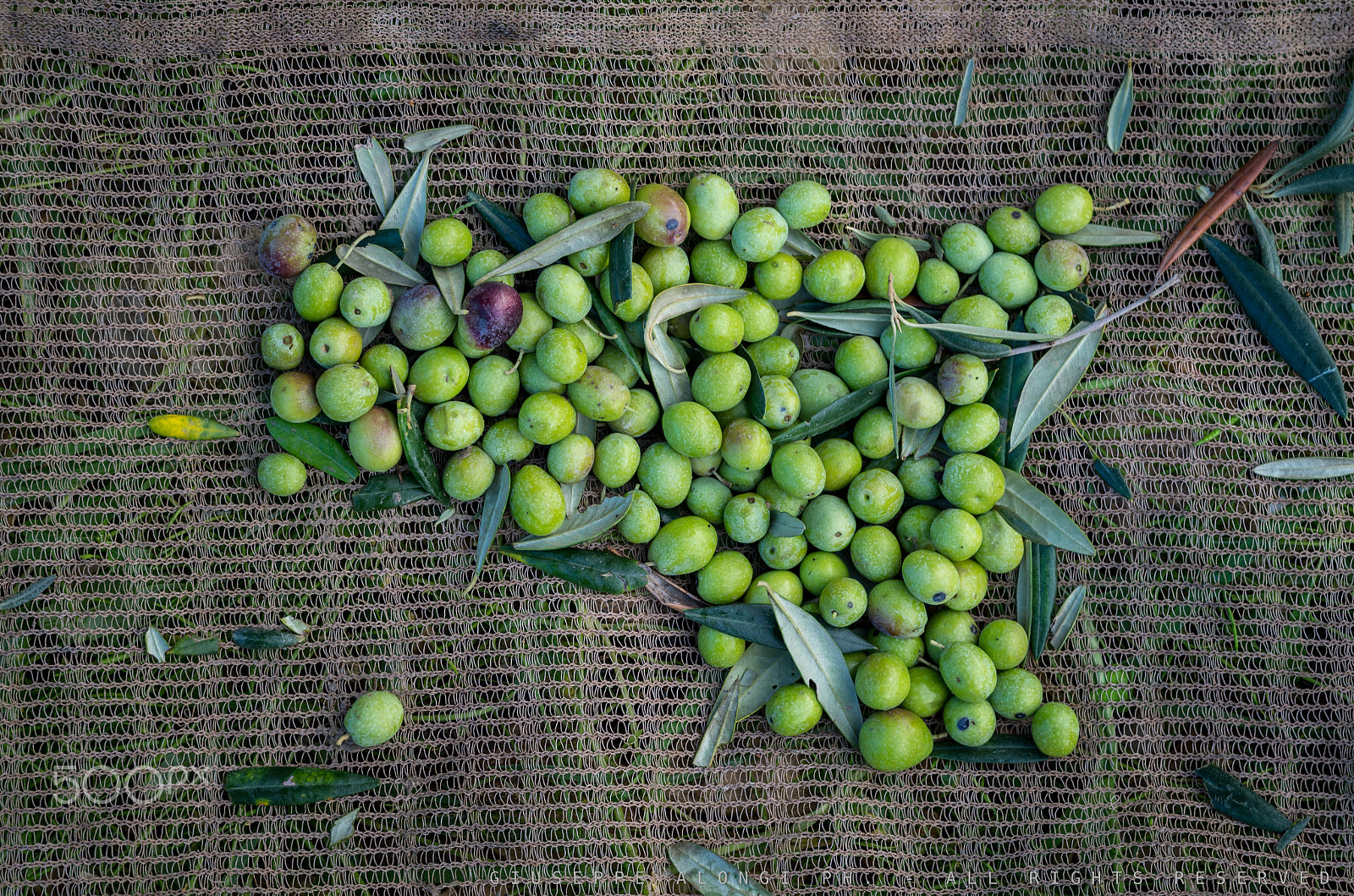 Pentax K-30 + Pentax smc DA 50mm F1.8 sample photo. Olio di sicilia photography