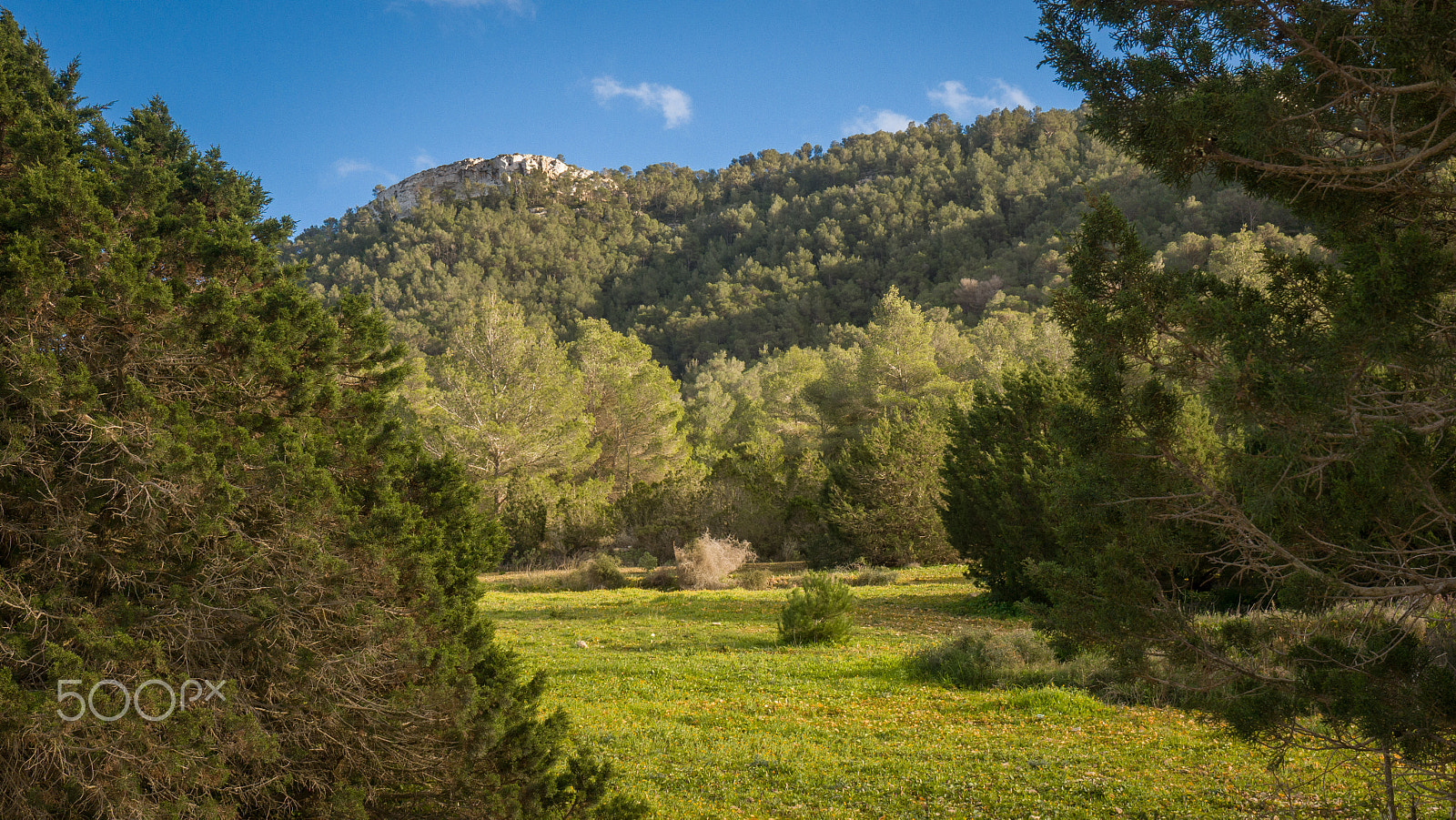 Panasonic Lumix DMC-GH2 sample photo. Landscape 9 photography