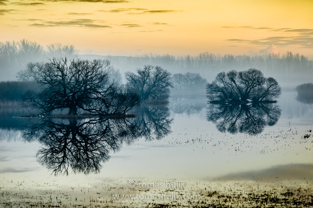 Nikon D800 sample photo. Reflections photography