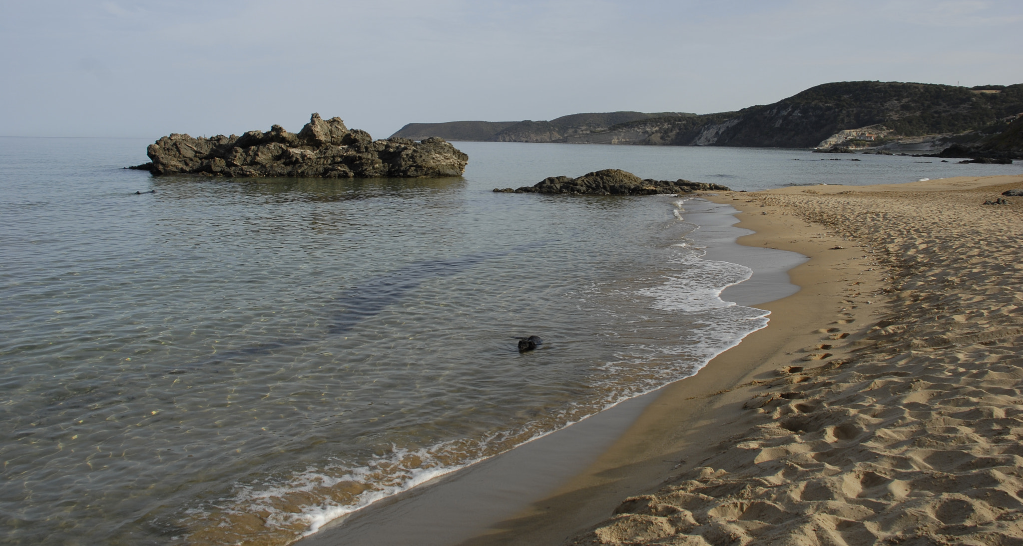 Nikon D200 sample photo. I love swimming photography