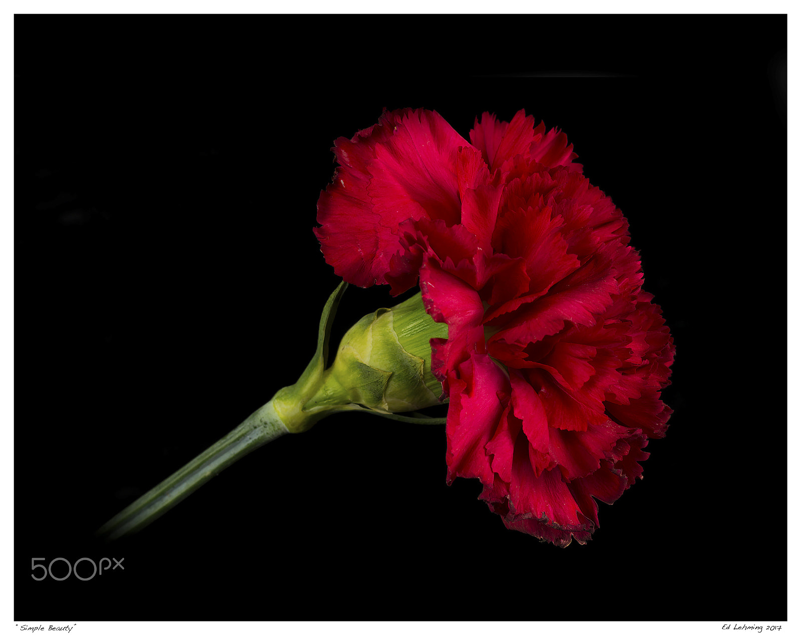 Nikon D800 sample photo. Simple beauty photography