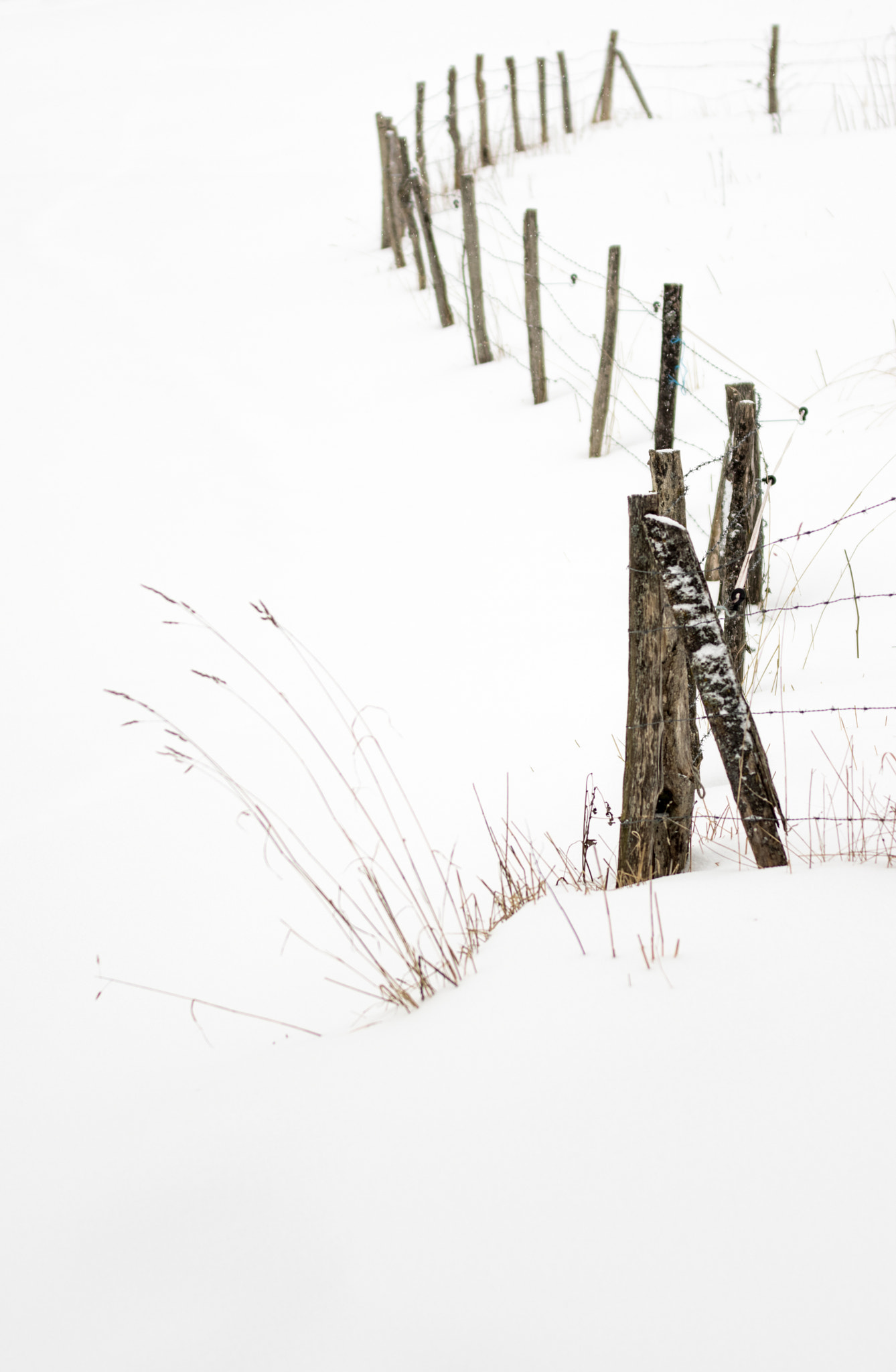 Pentax K-3 sample photo. S wood photography