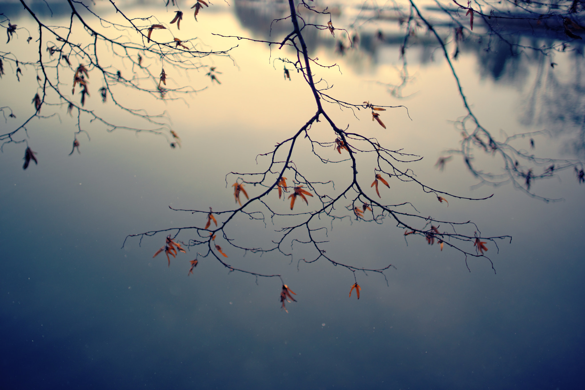 Sony a99 II + Sony 35mm F1.4 G sample photo. Lac de bret, 13-01-2017 (#2, color) photography