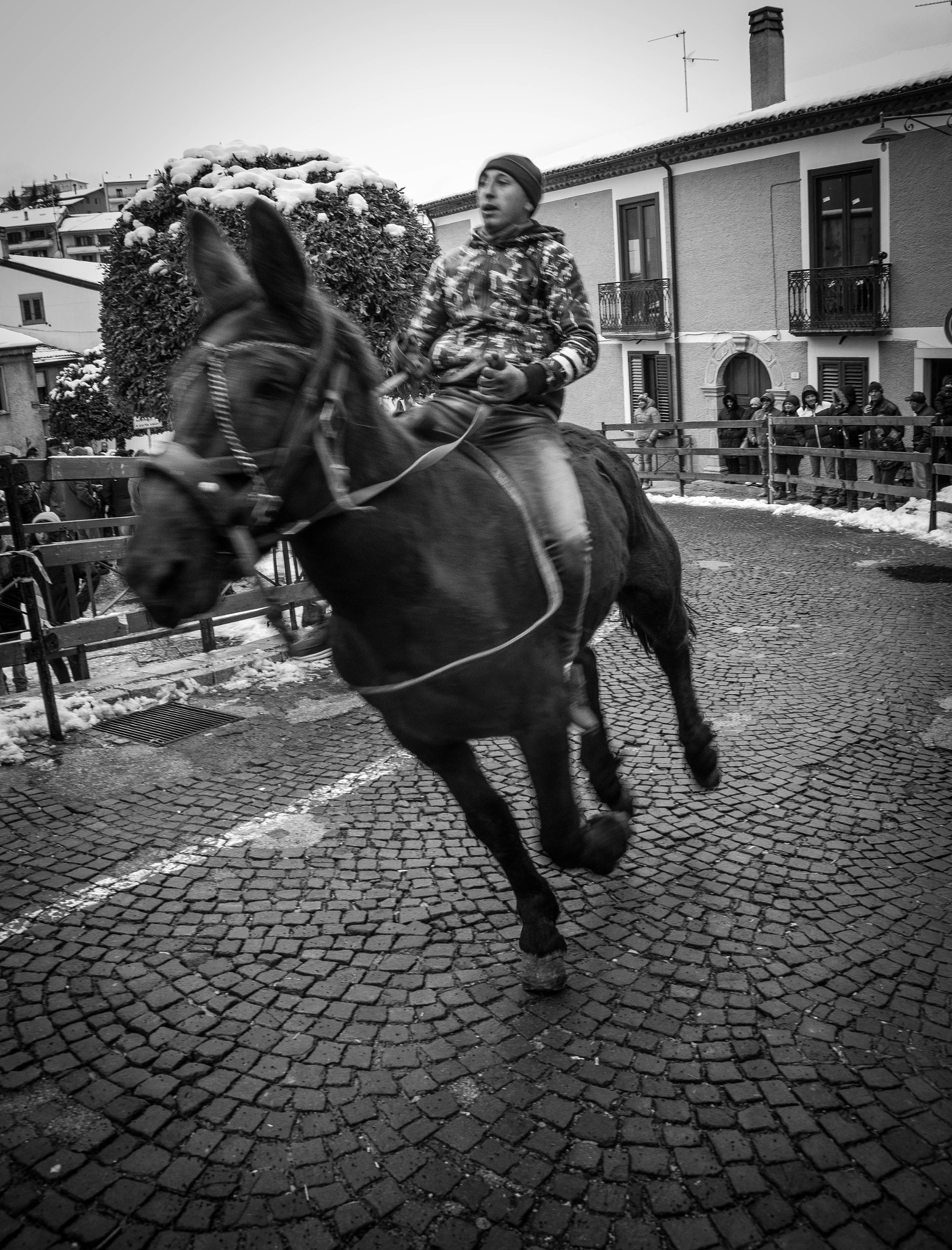 Nikon D3200 sample photo. Pignola - corsa di s.antonio abate photography