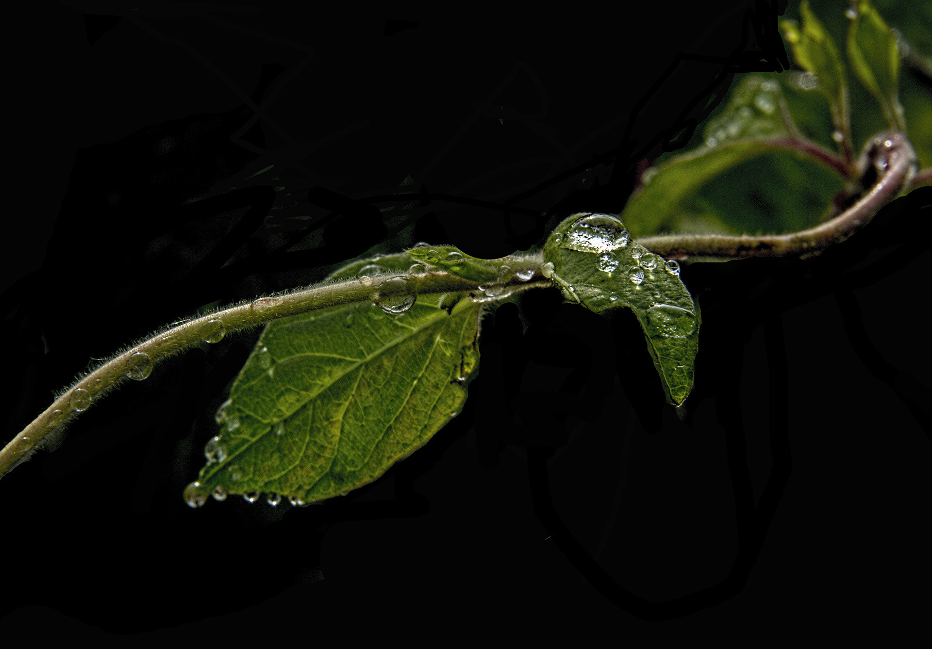 Canon EF-S 18-200mm F3.5-5.6 IS sample photo. Reflexo photography
