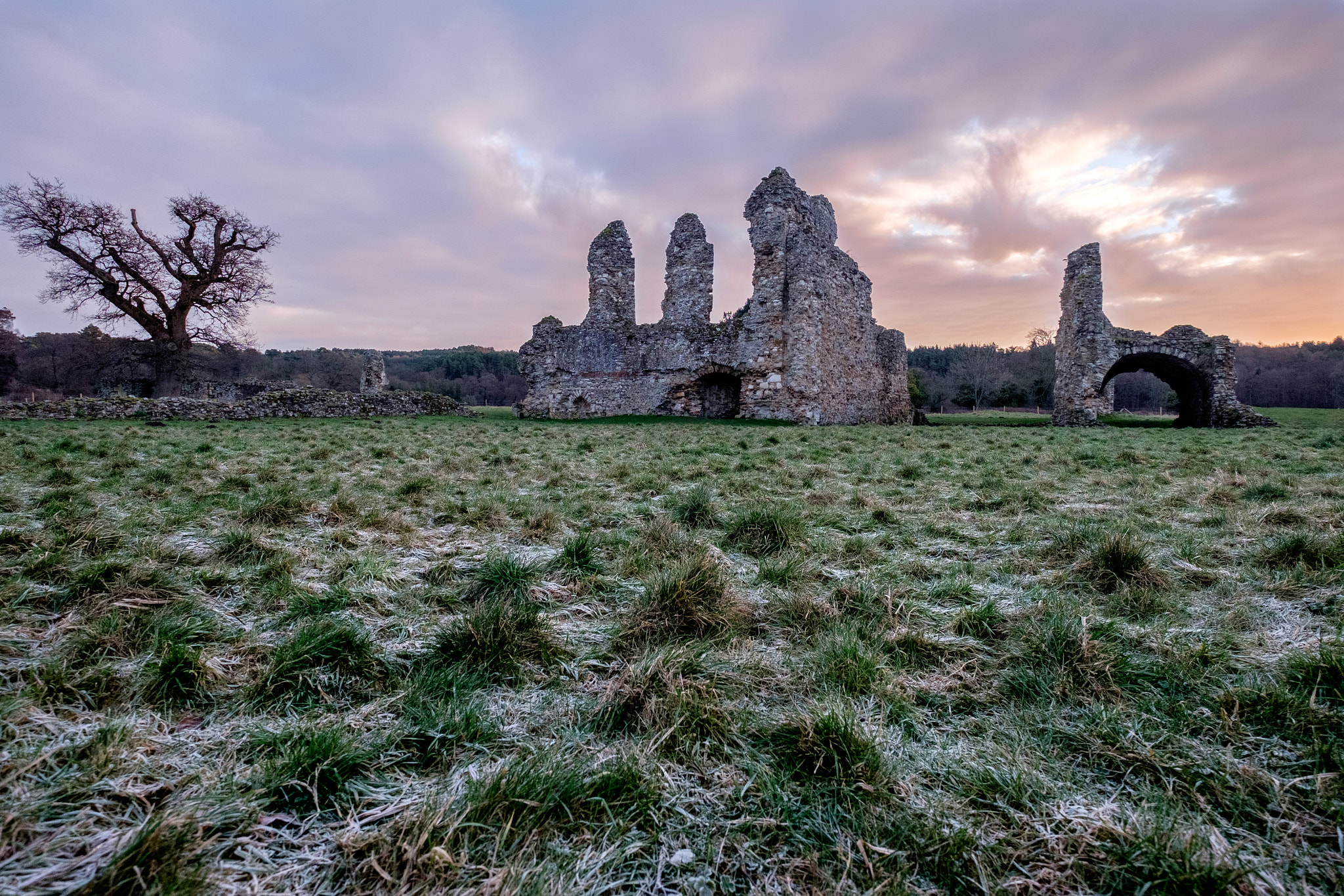 Fujifilm X-E2 + Fujifilm XF 10-24mm F4 R OIS sample photo. A frosty dawn at waverley photography