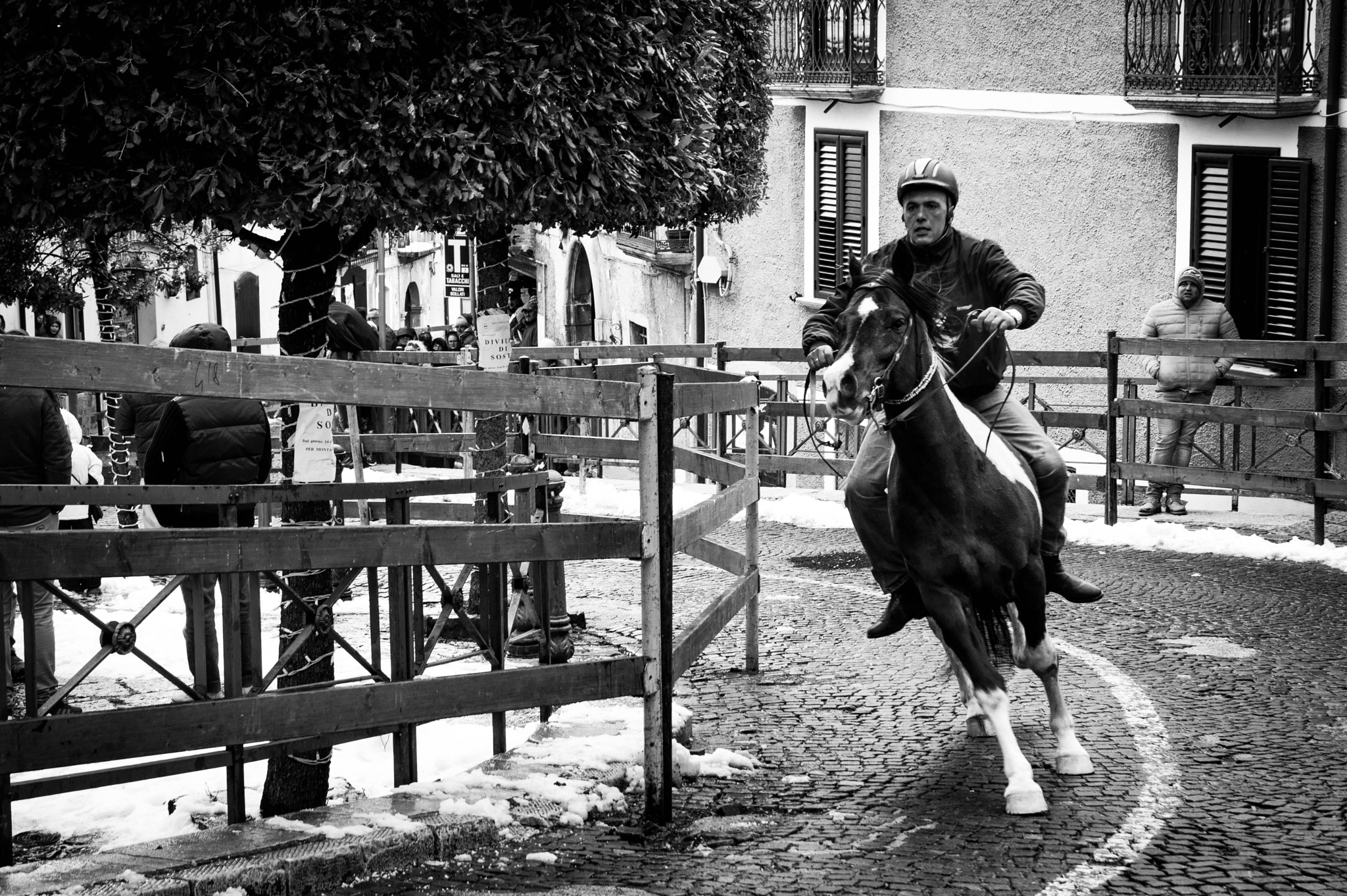 Nikon D3200 sample photo. Pignola - corsa di s.antonio abate photography