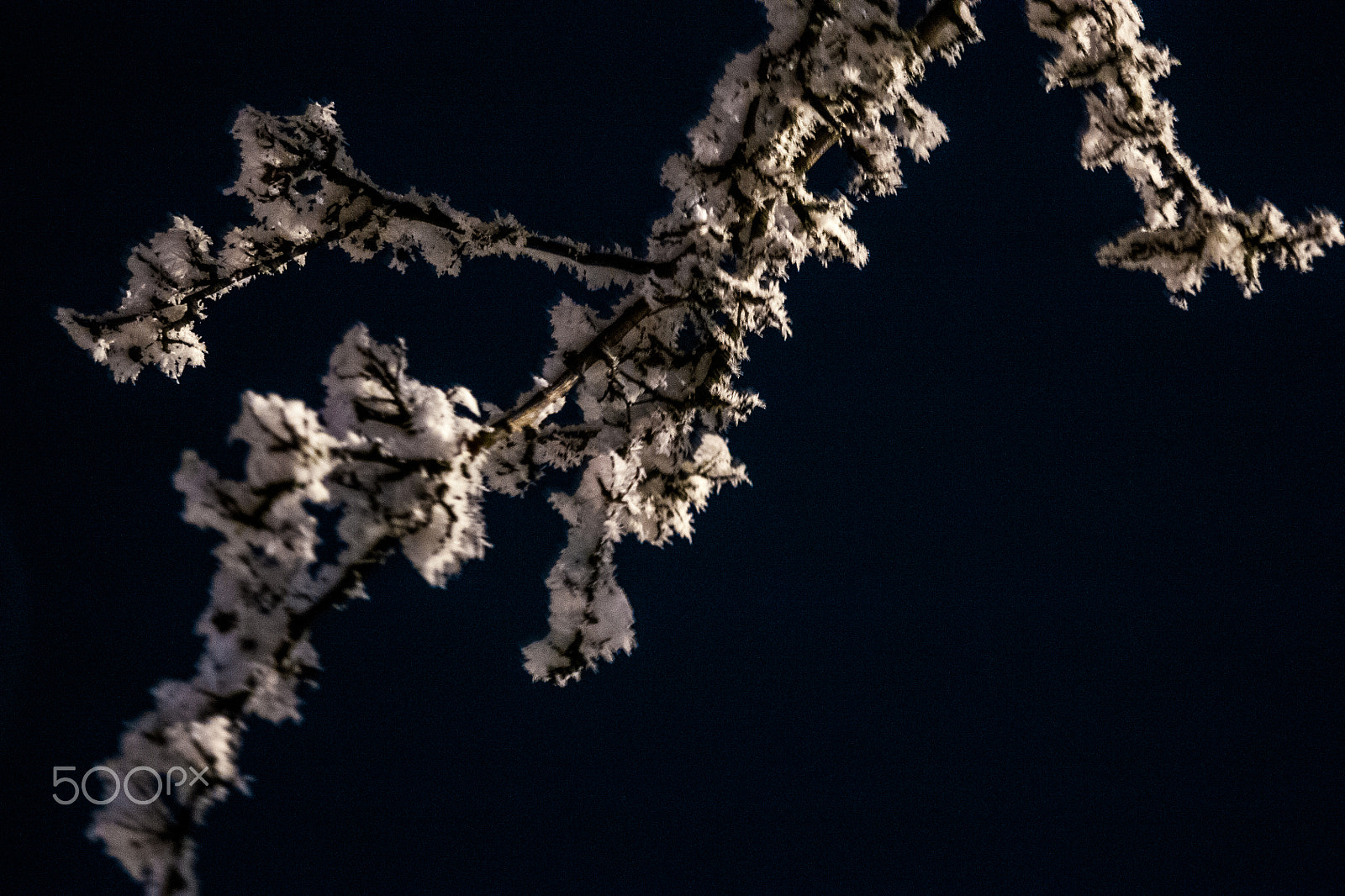 Sony Alpha DSLR-A700 + 24-70mm F2.8 sample photo. Winter photography