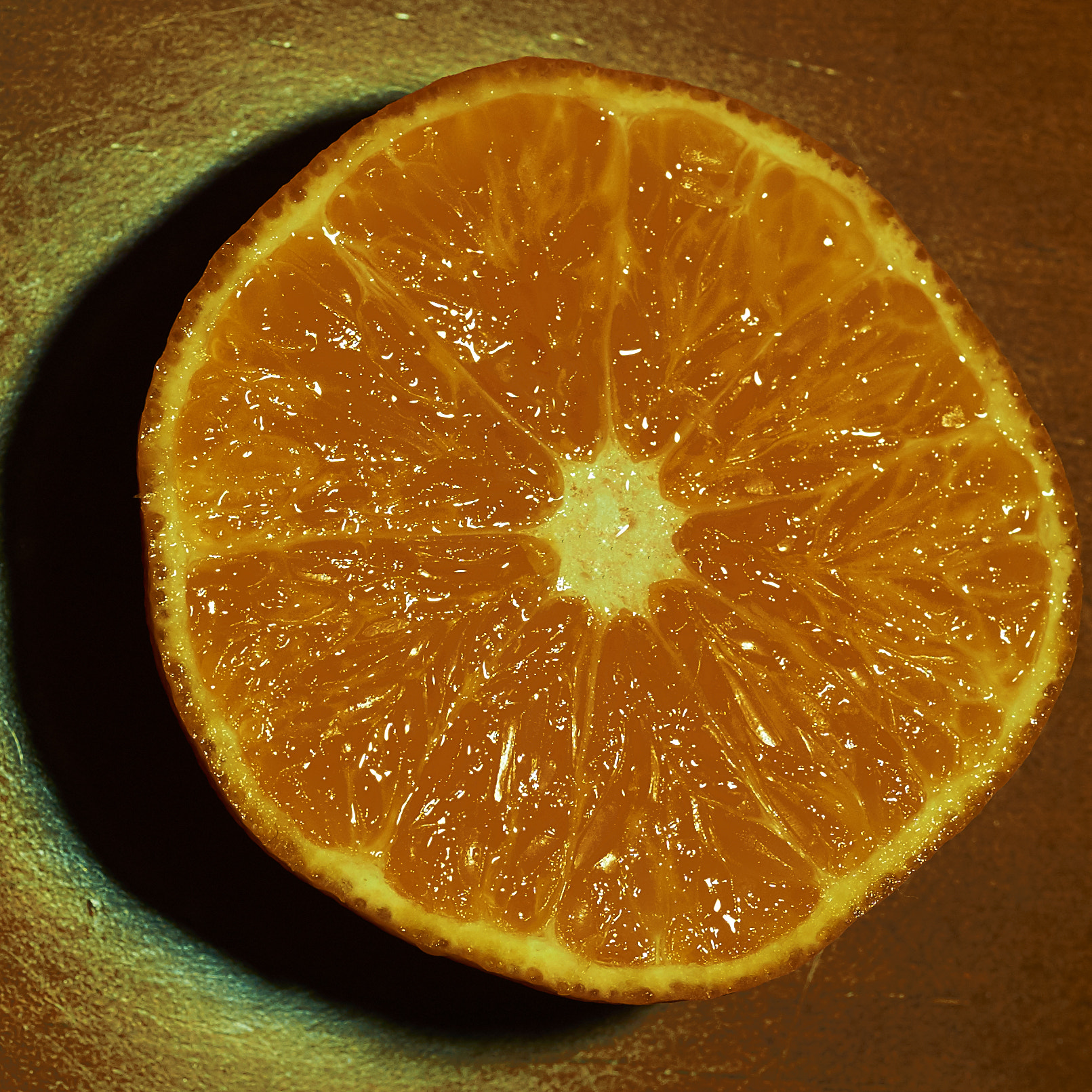 Nikon D750 sample photo. Orange coloured (photostory) photography