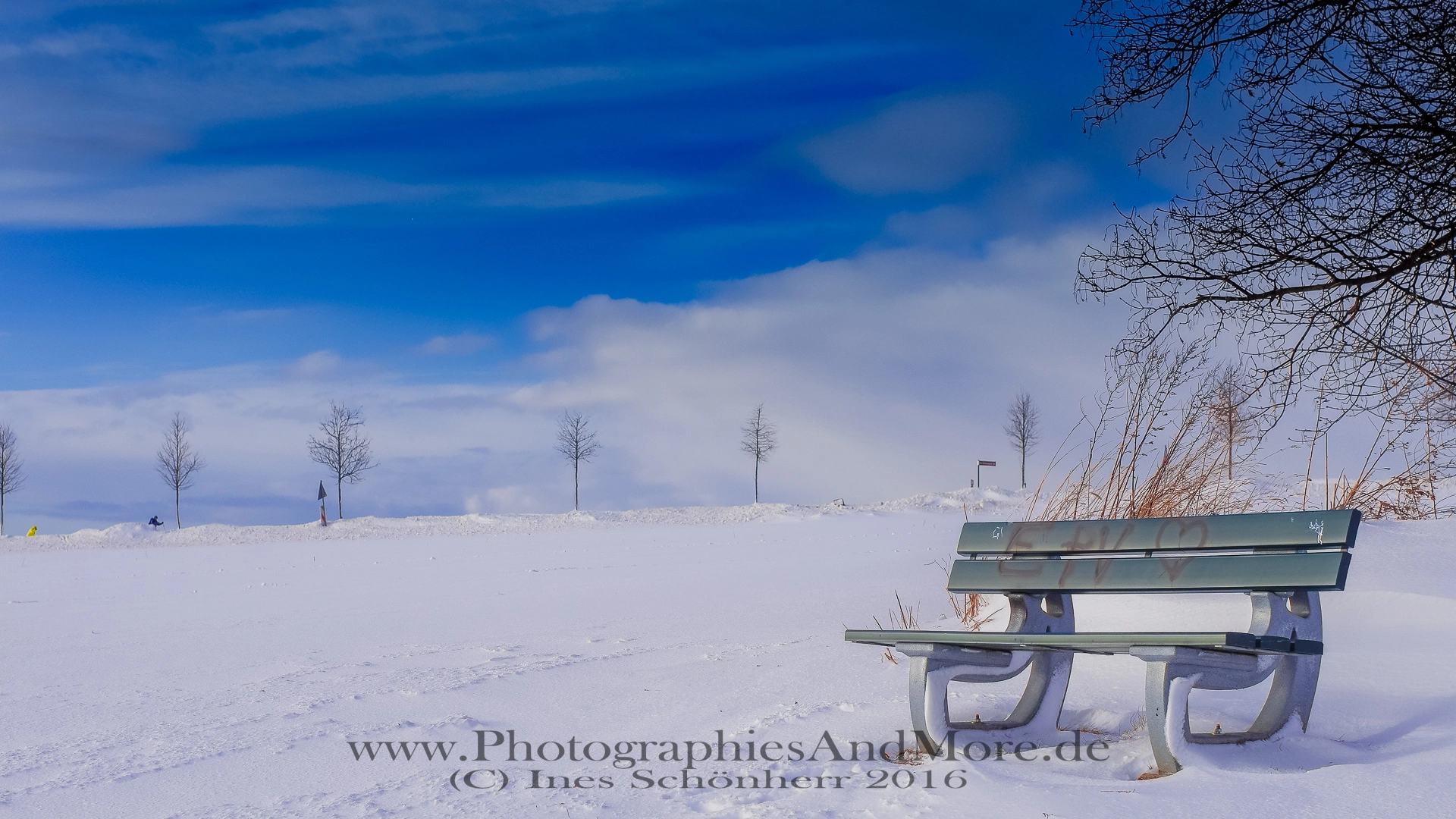 Pentax K-5 IIs sample photo. My winter wonderland photography