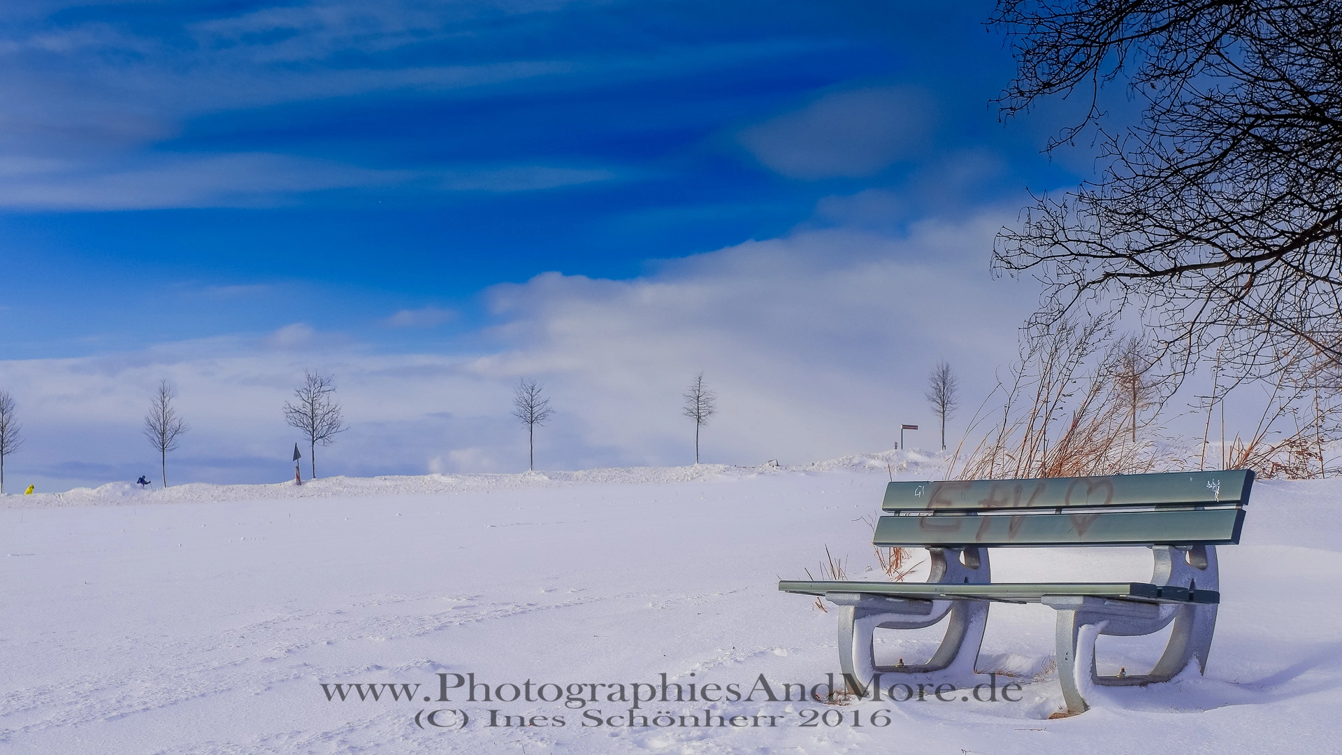 Pentax smc FA 50mm F1.4 sample photo. My winter wonderland photography