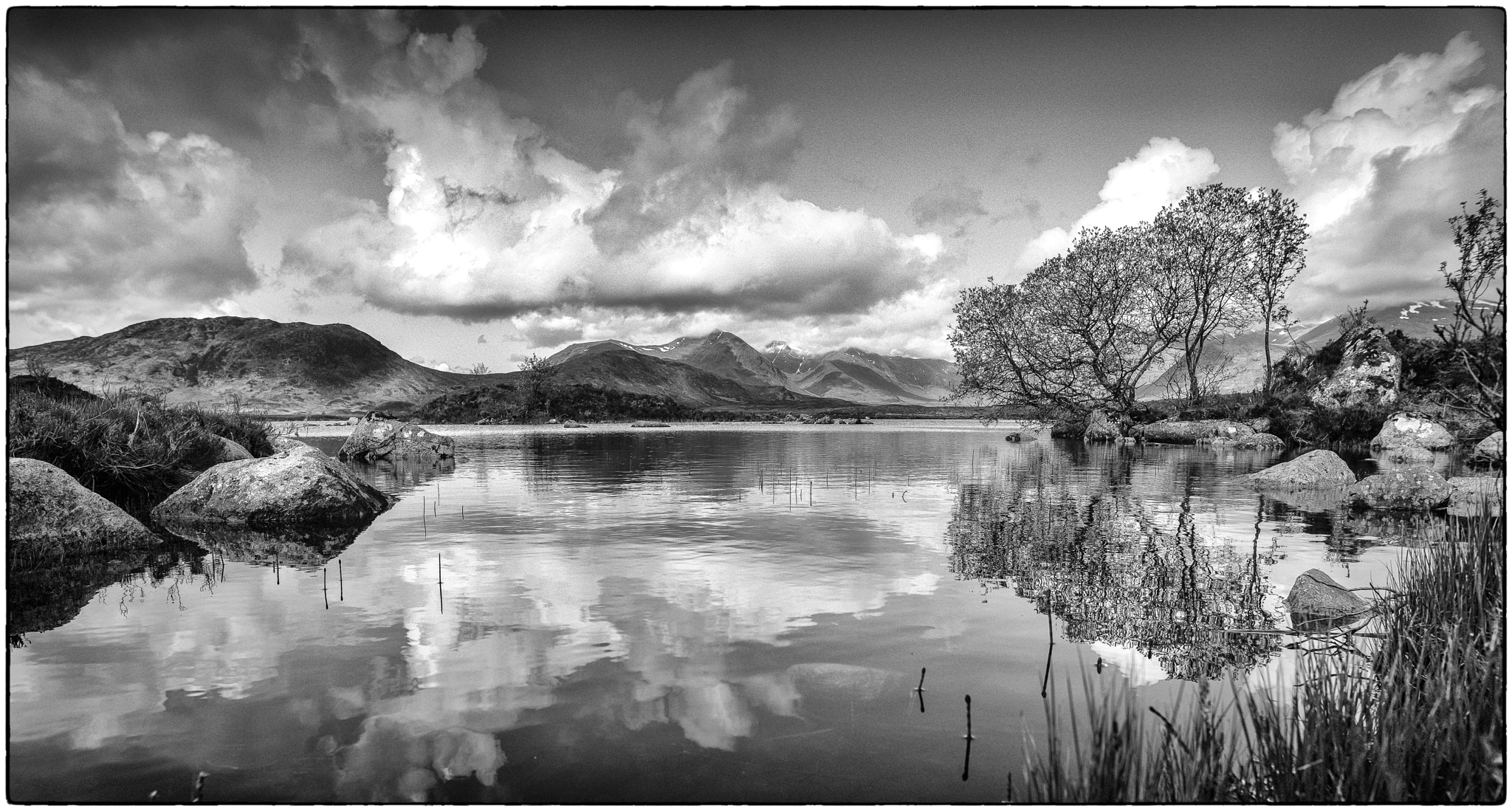 Nikon D800E + Nikon AF Nikkor 20mm F2.8D sample photo. Trees on the loch photography