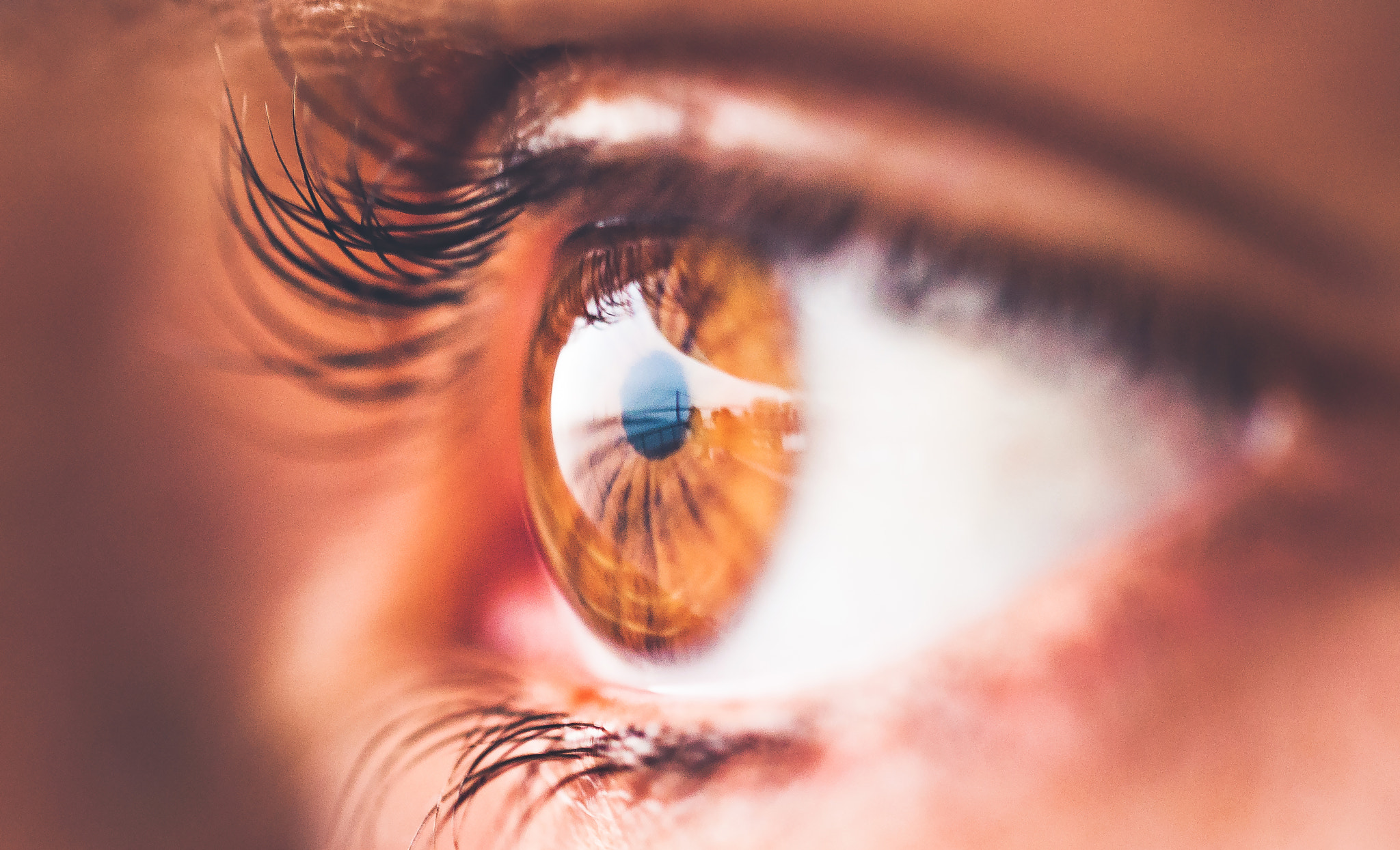 Nikon D5000 sample photo. Through her eyes! photography