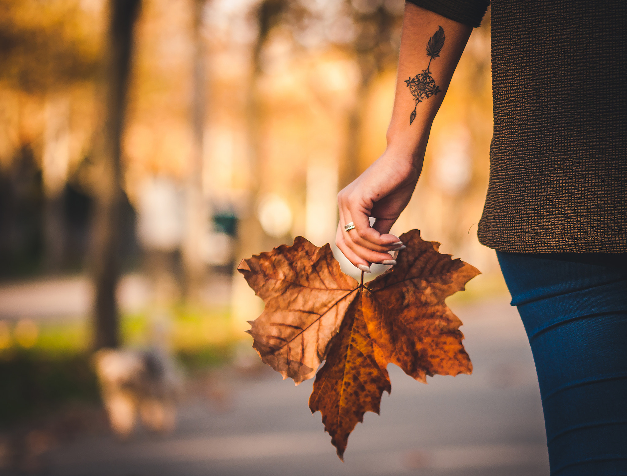 Nikon D5000 sample photo. Big autumn leaf photography