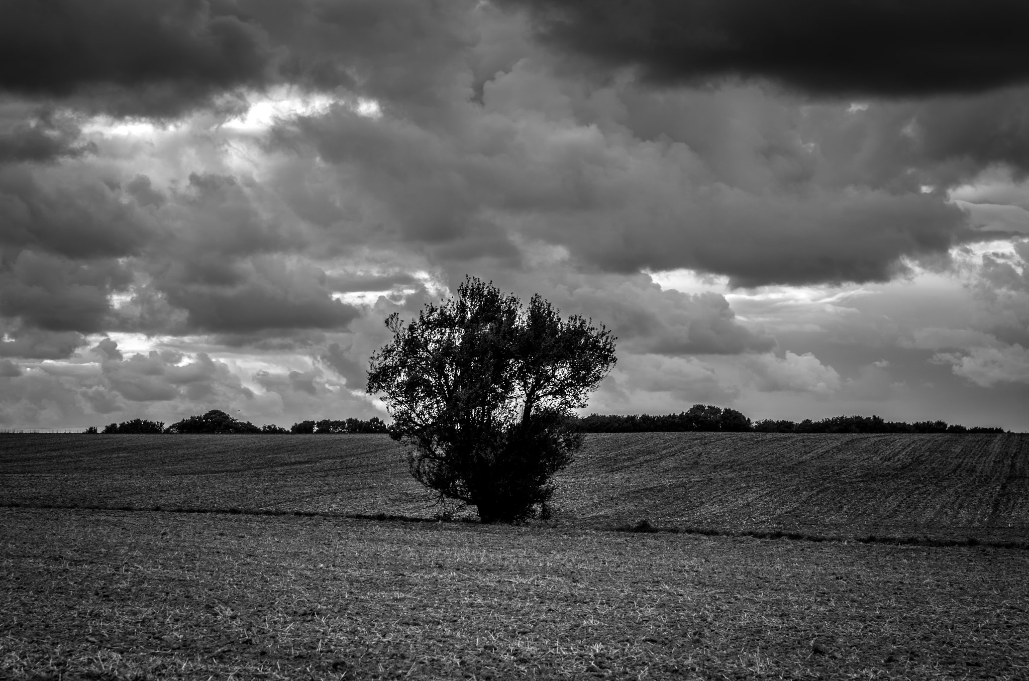 Pentax K-5 sample photo. Campagne de creuilly (calvados) photography