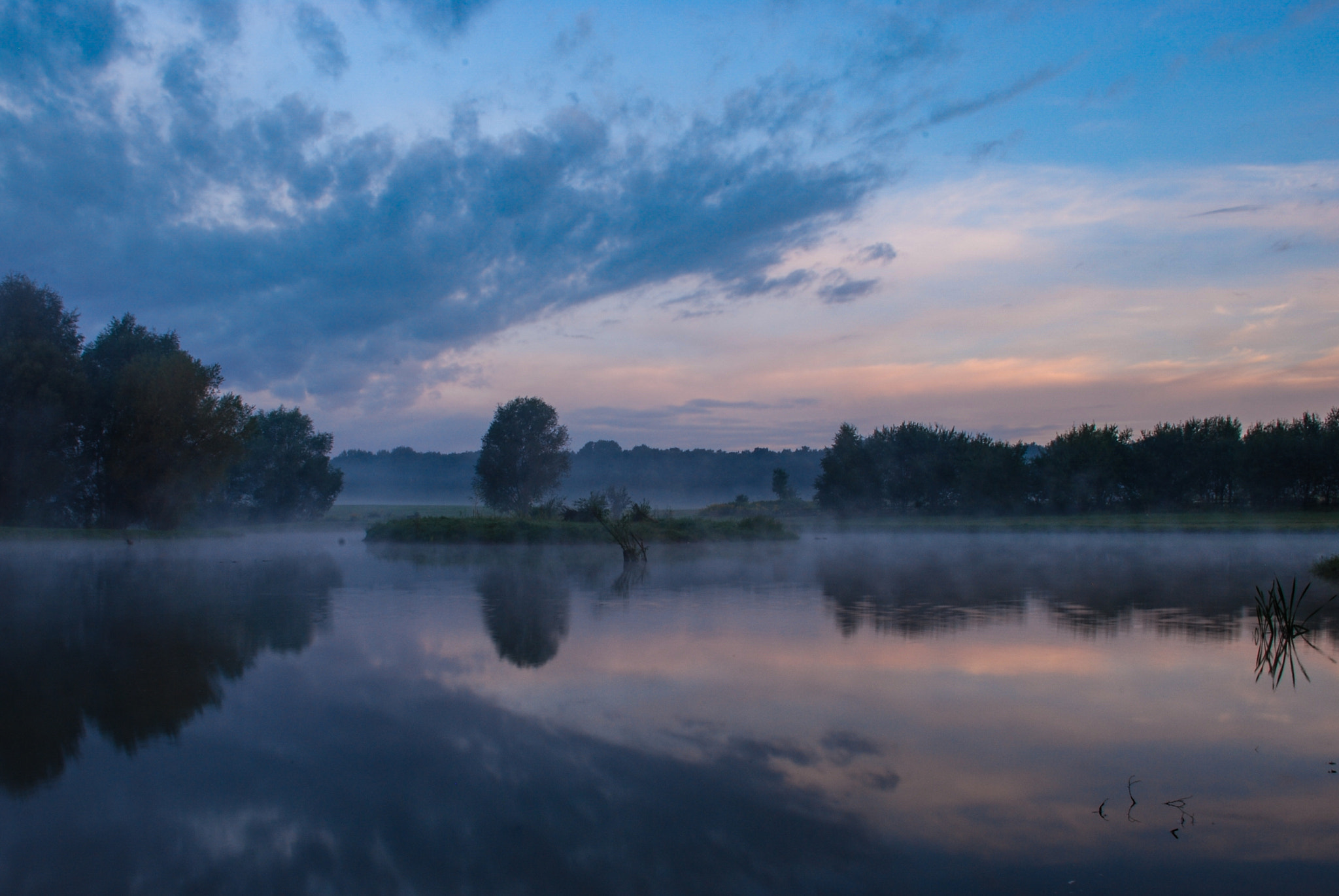 Nikon D40X sample photo. Morning breathe. photography