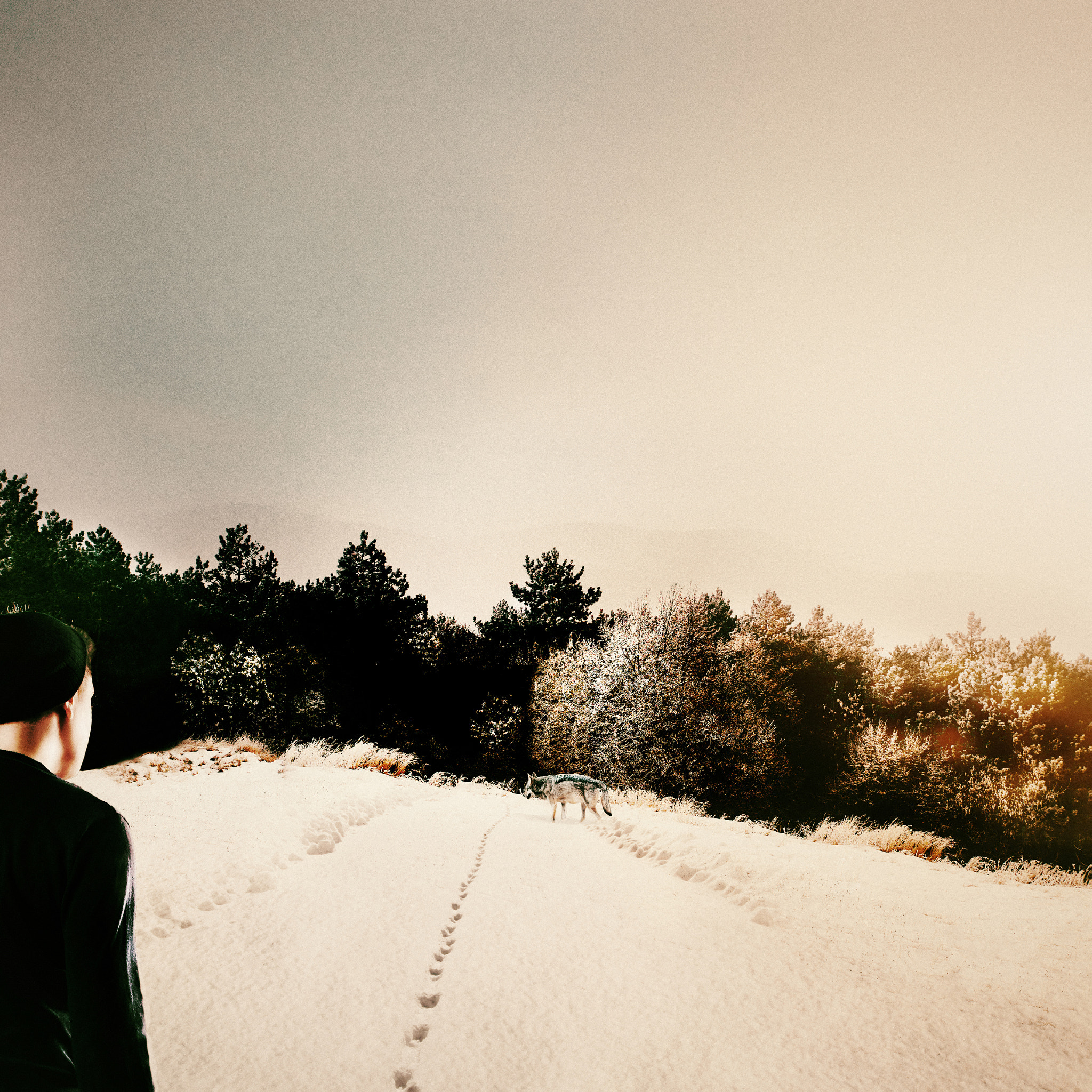 Nikon D810 sample photo. -tracks- photography