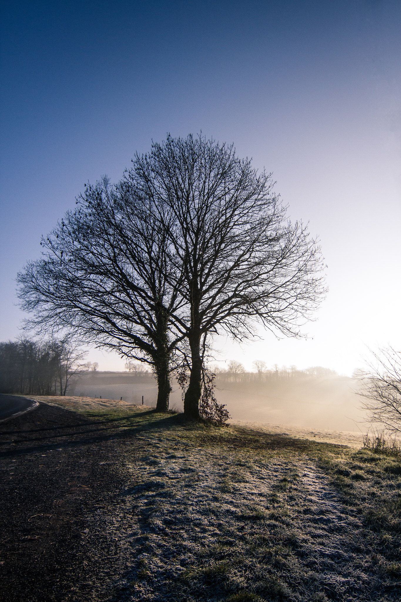 Tokina AT-X 12-28mm F4 Pro DX sample photo. Mg photography