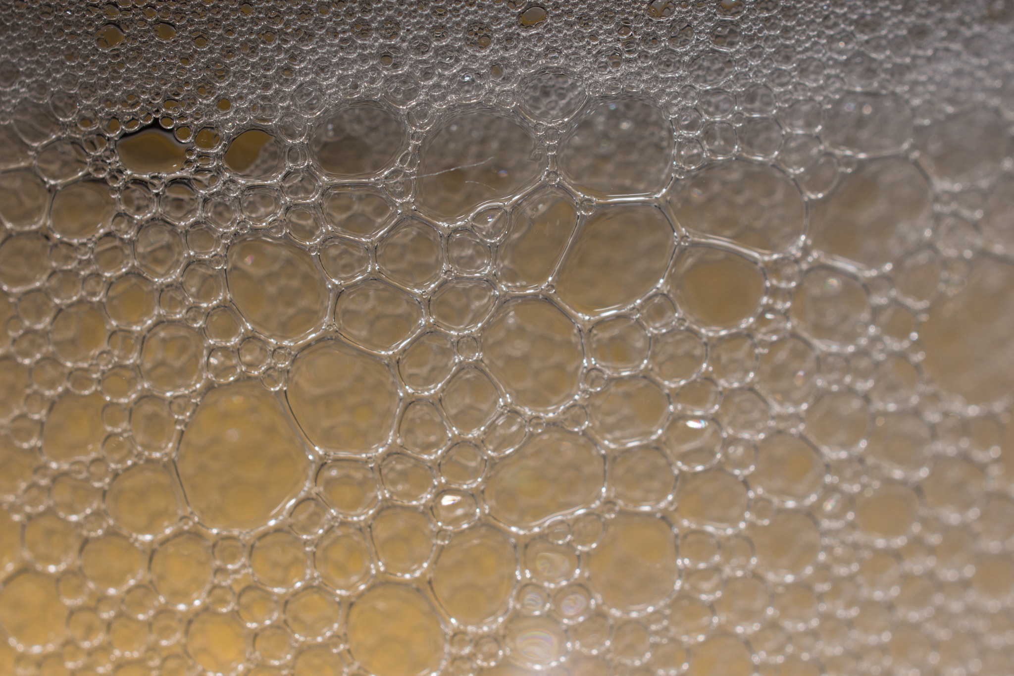 Nikon AF-S DX Micro Nikkor 40mm F2.8 sample photo. Beer bubbles part 1 photography